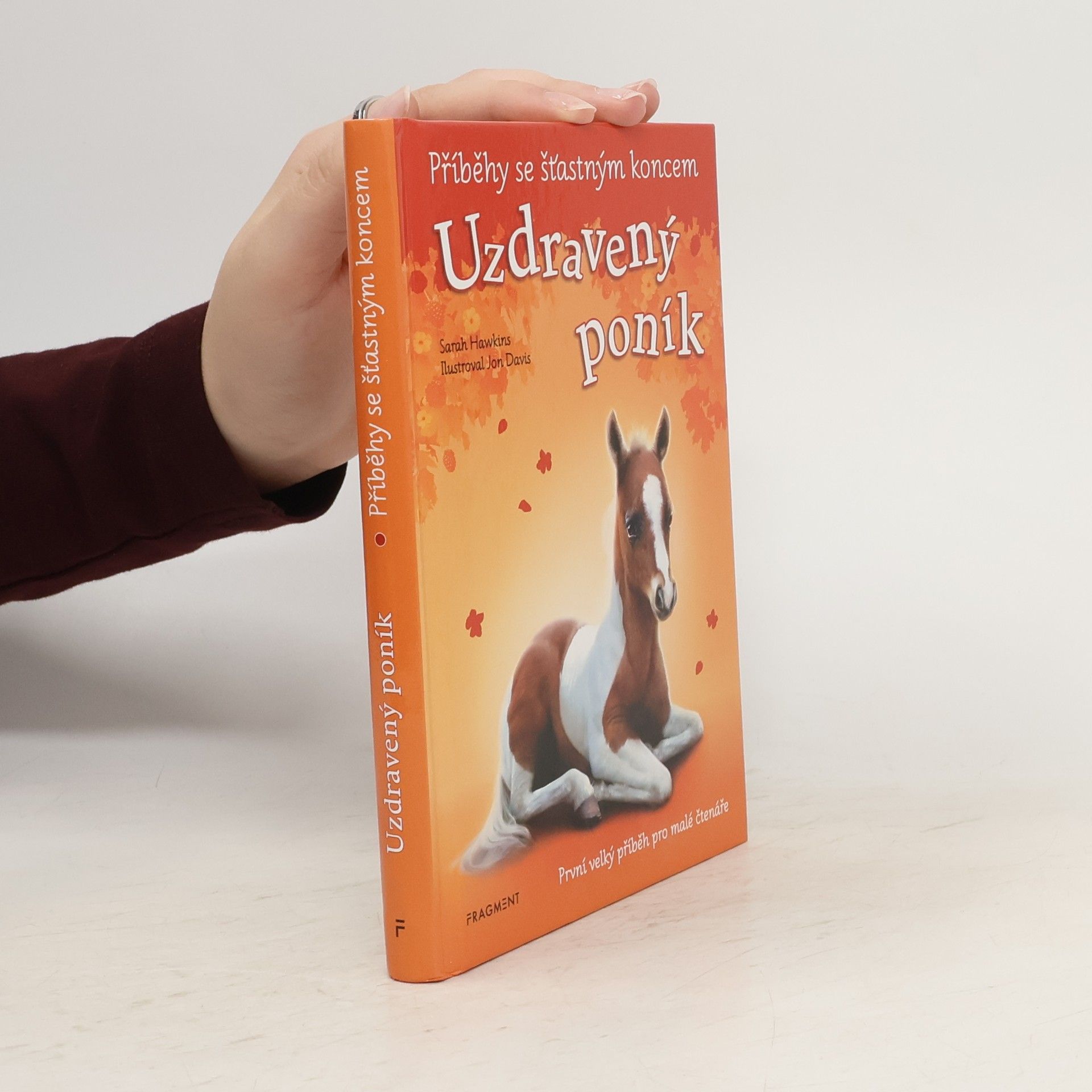 Eva Brožová Uzdravený poník