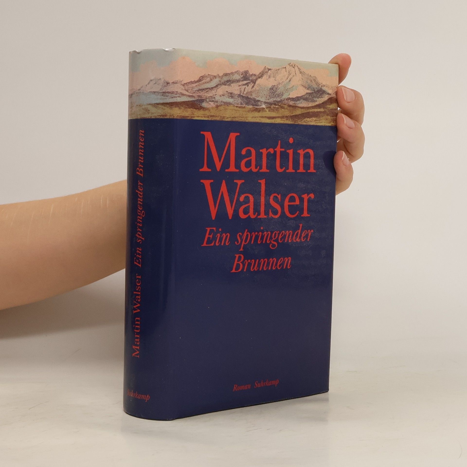 Martin Walser Ein springender Brunnen