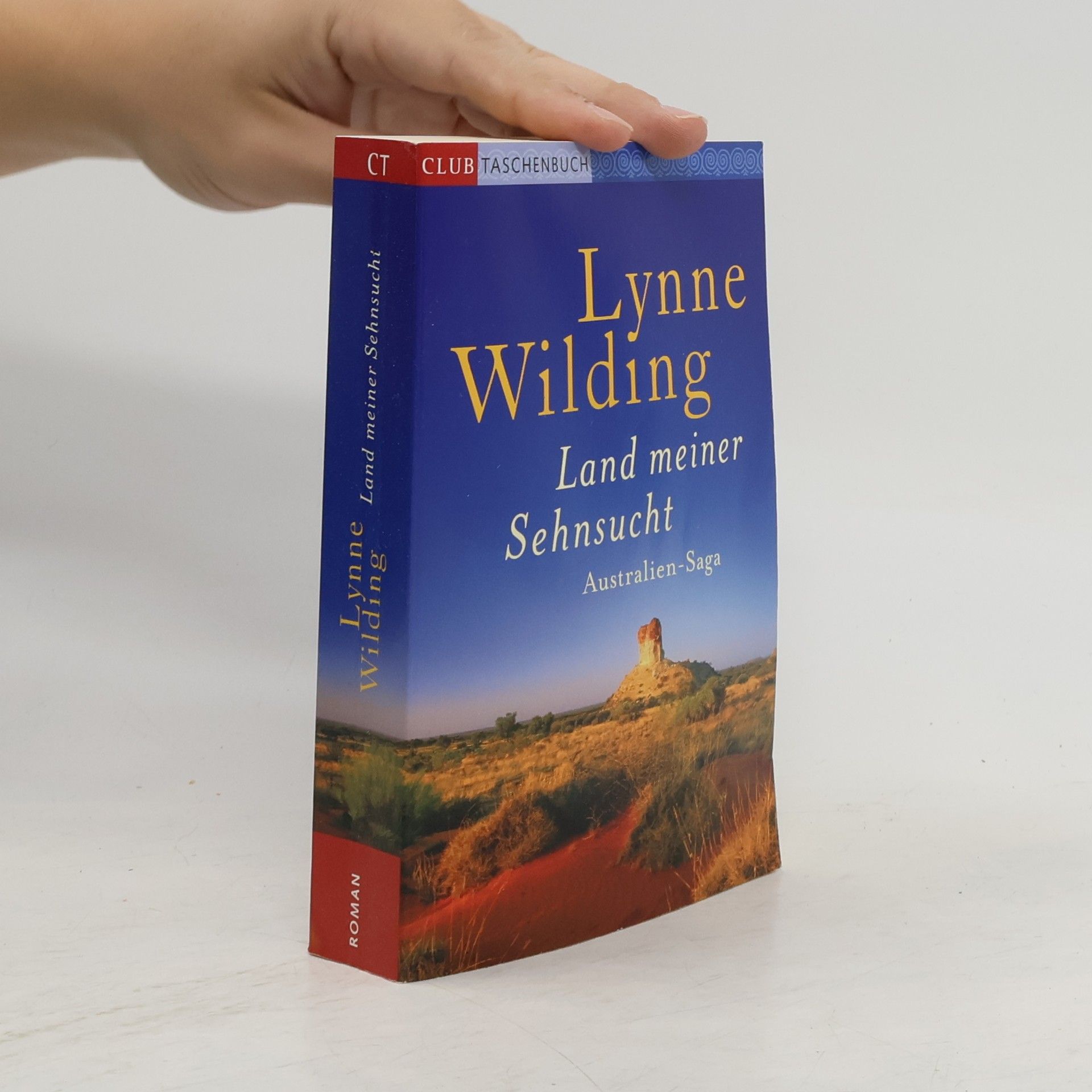 Lynne Wilding Land meiner Sehnsucht