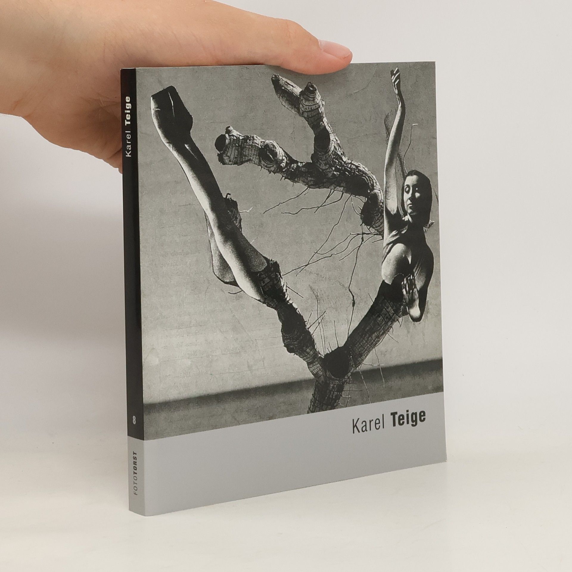 Karel Srp Karel Teige