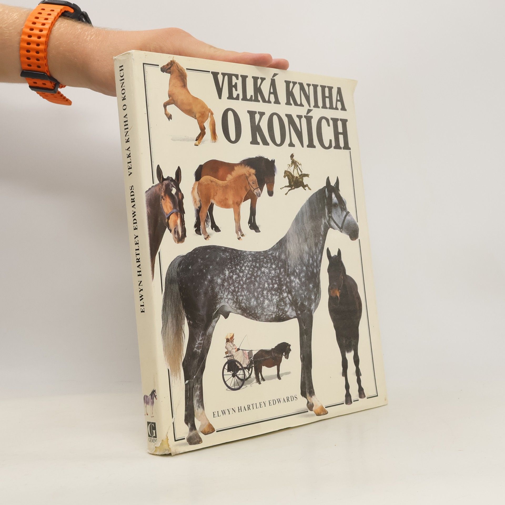 Elwyn Hartley Edwards Velká kniha o koních