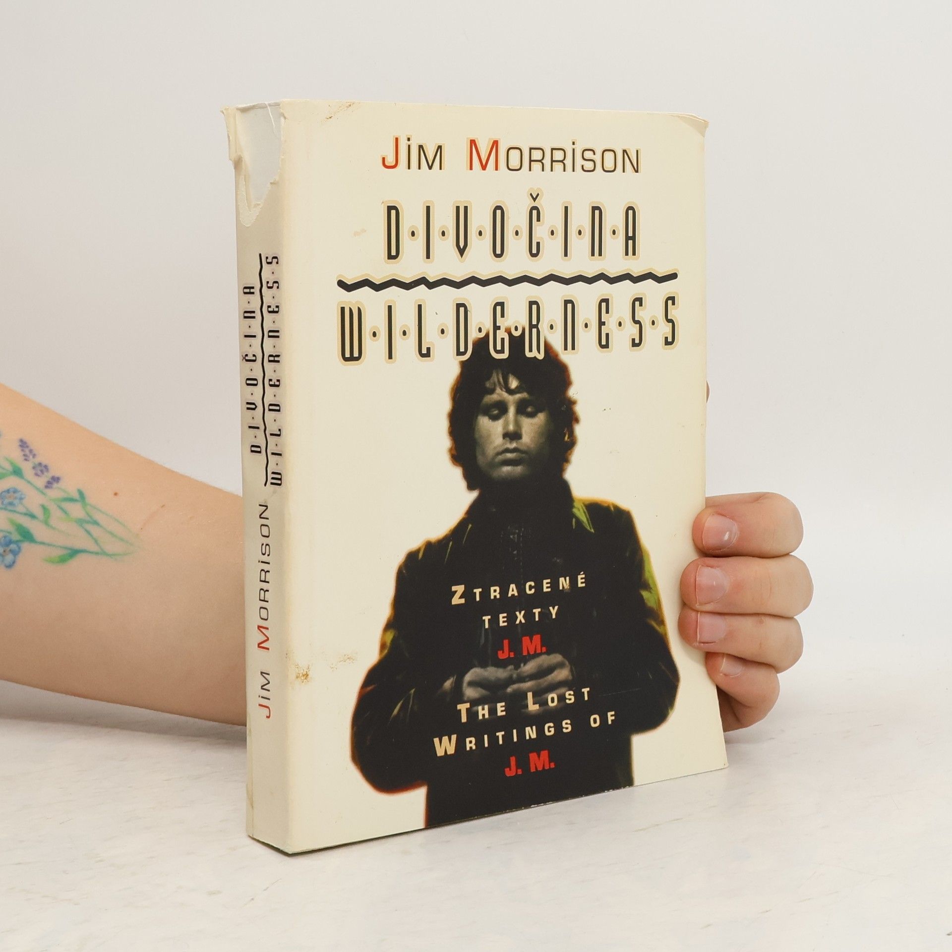 Divočina, Wilderness = Ztracené texty