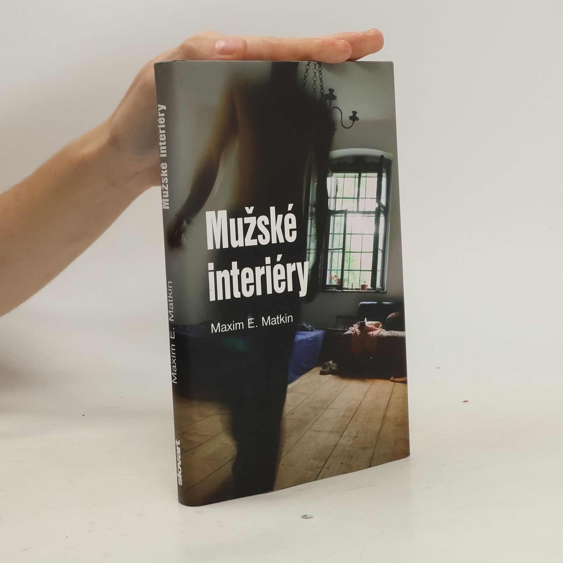 Mužské interiéry