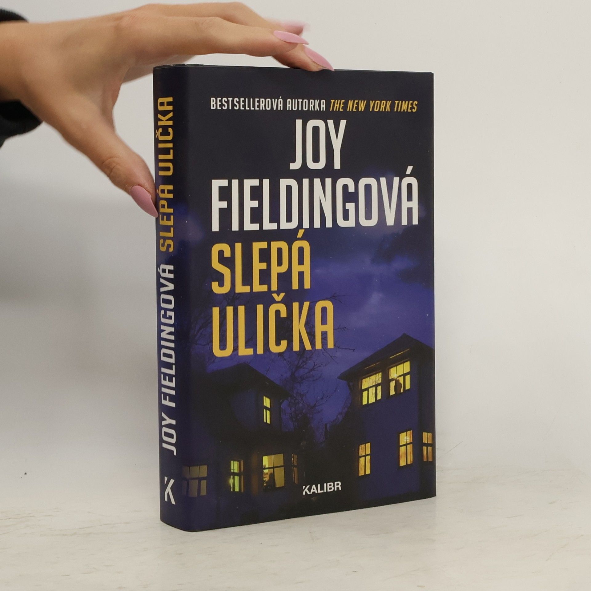 Joy Fielding Slepá ulička