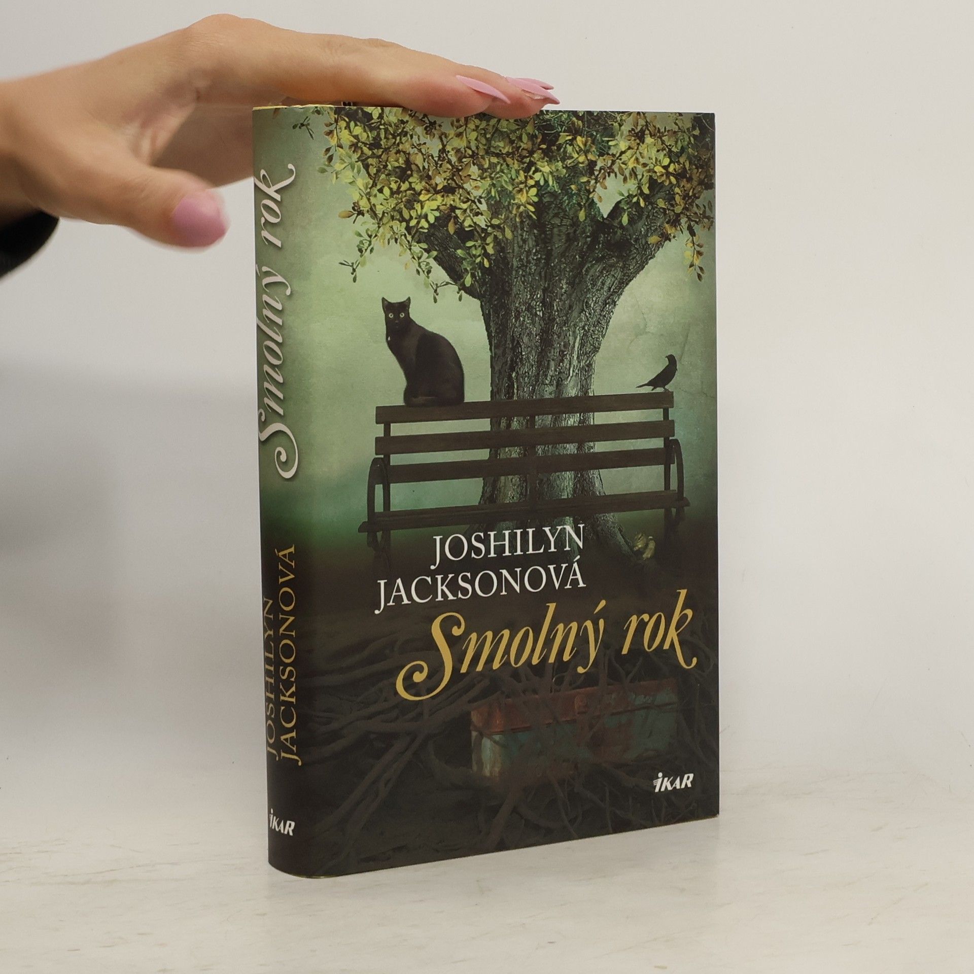 Joshilyn Jackson Smolný rok