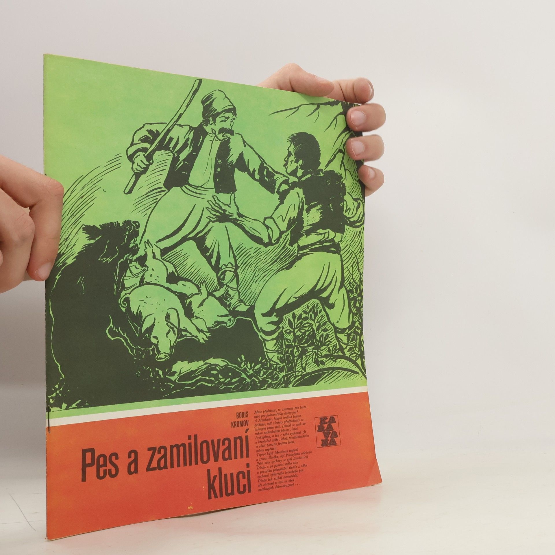 Boris Krumov Karavana č. 188. Pes a zamilovaní kluci