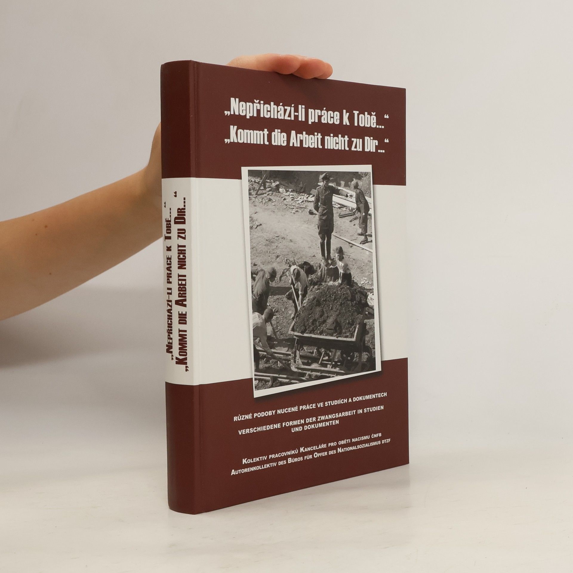 Collectif d'auteurs "Nepřichází-li práce k tobě..."