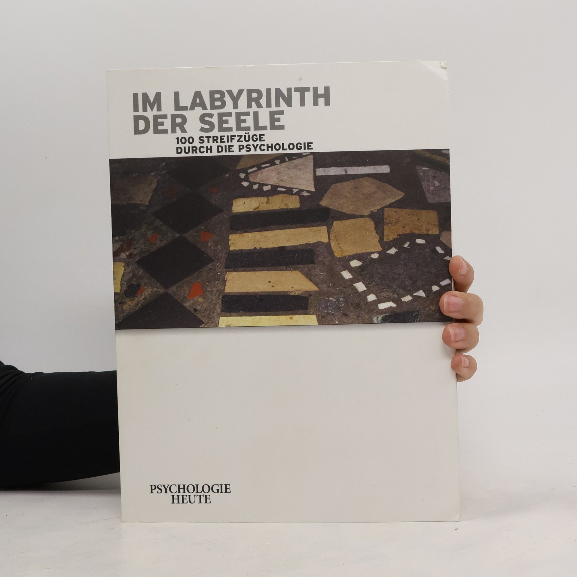 Collectif d'auteurs Im Labyrinth der Seele