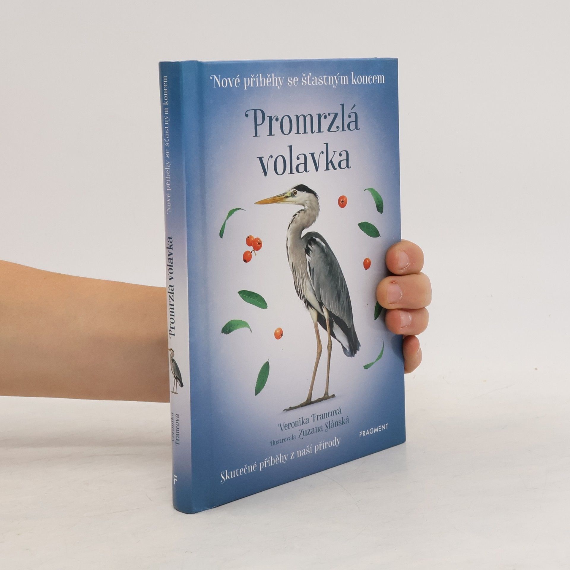 Veronika Francová Promrzlá volavka