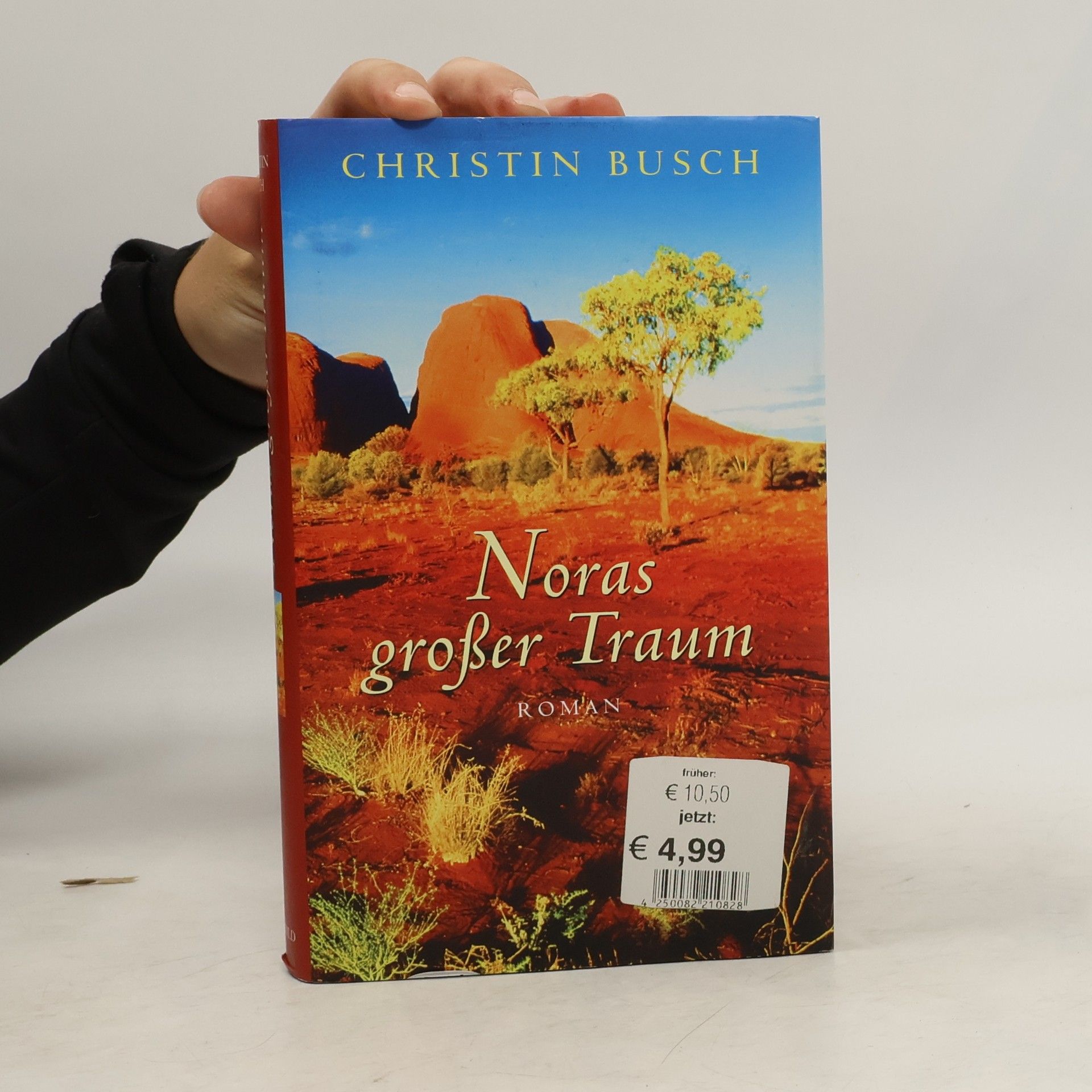 Christin Busch Noras großer Traum