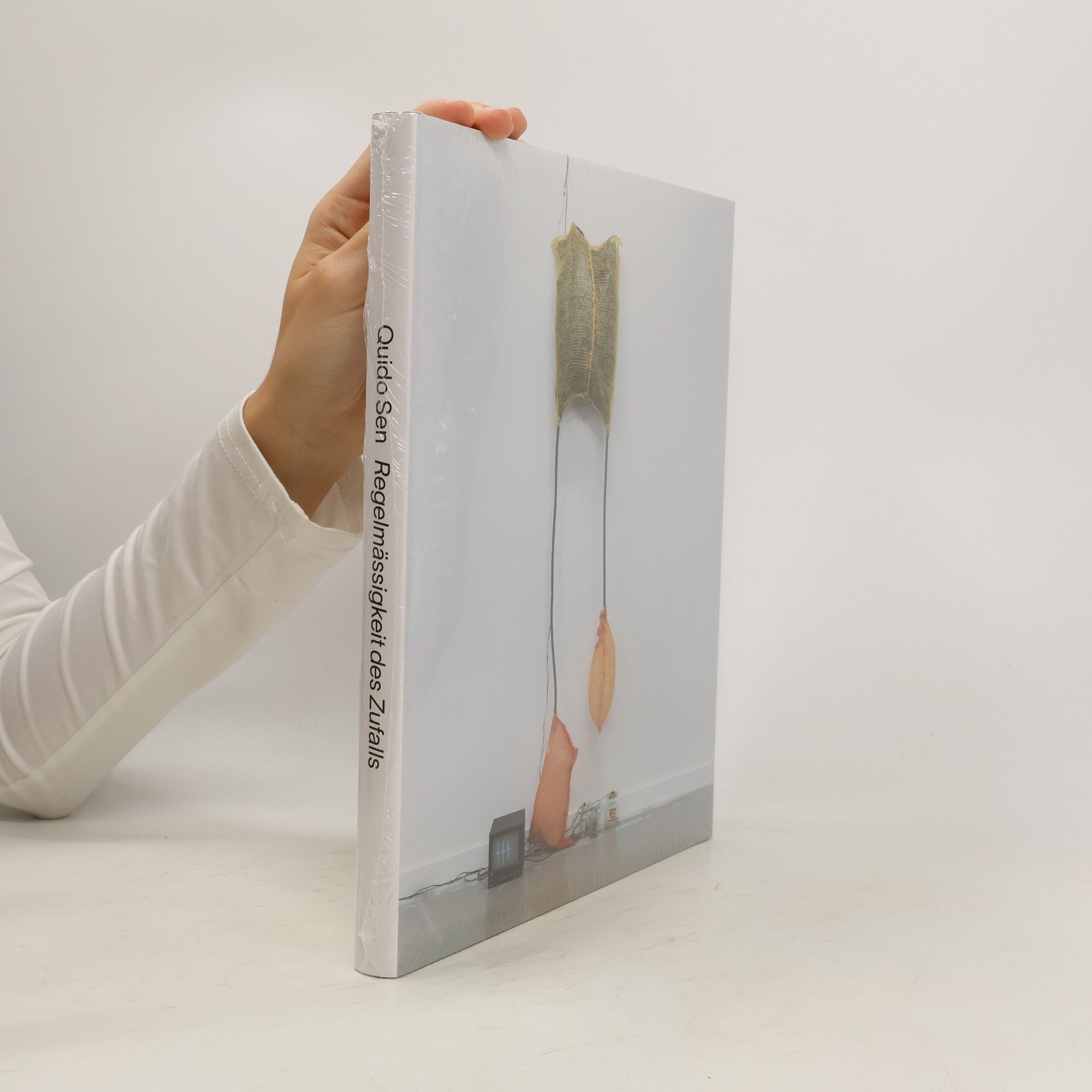 Quido Sen Regelmässigkeit des Zufalls