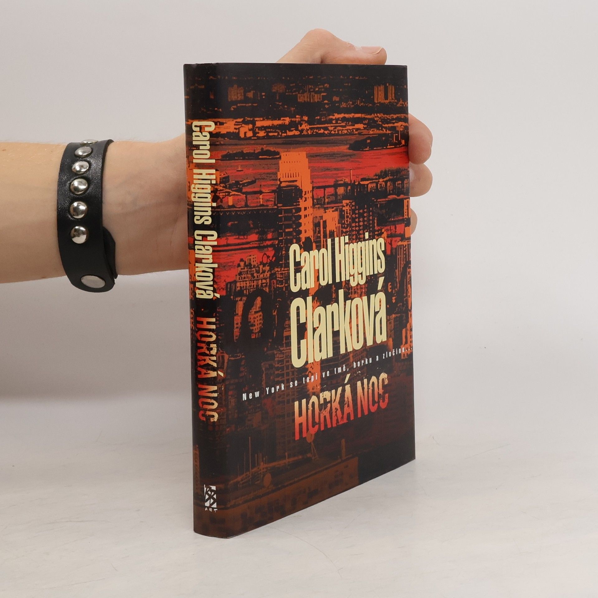 Carol Higgins Clark Horká noc