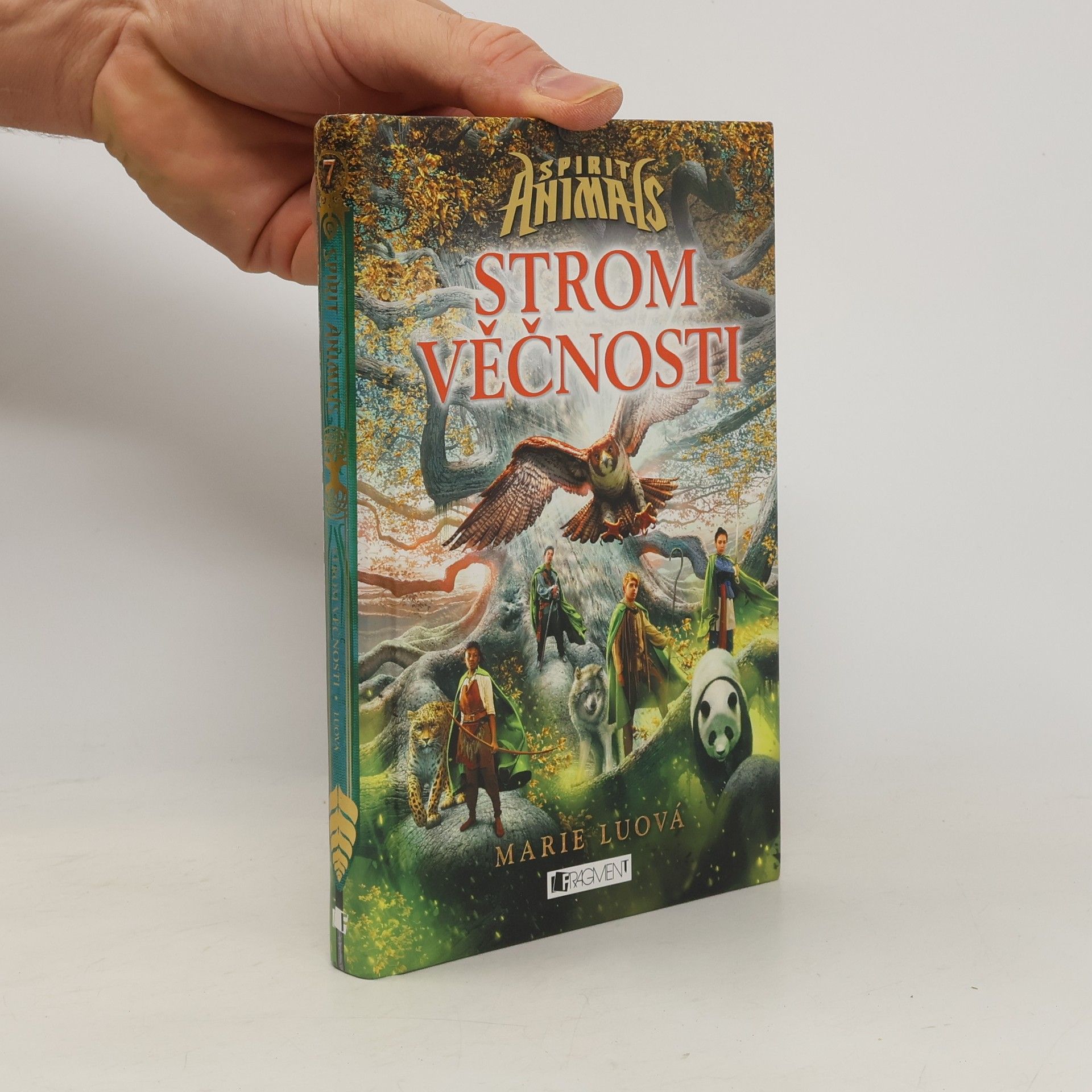 Marie Lu Strom věčnosti