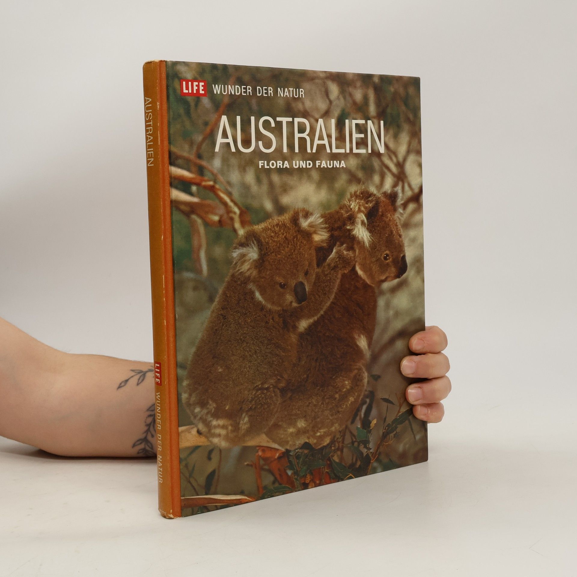 Kolektiv autorů Australien: Flora und Fauna