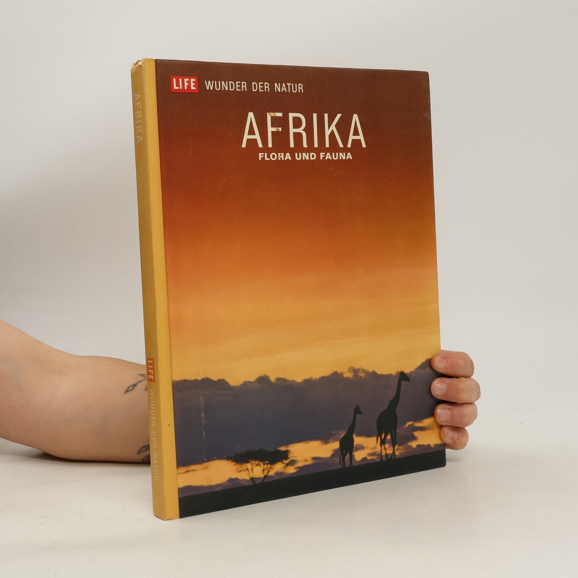 Autorenkollektiv Afrika. Flora und Fauna