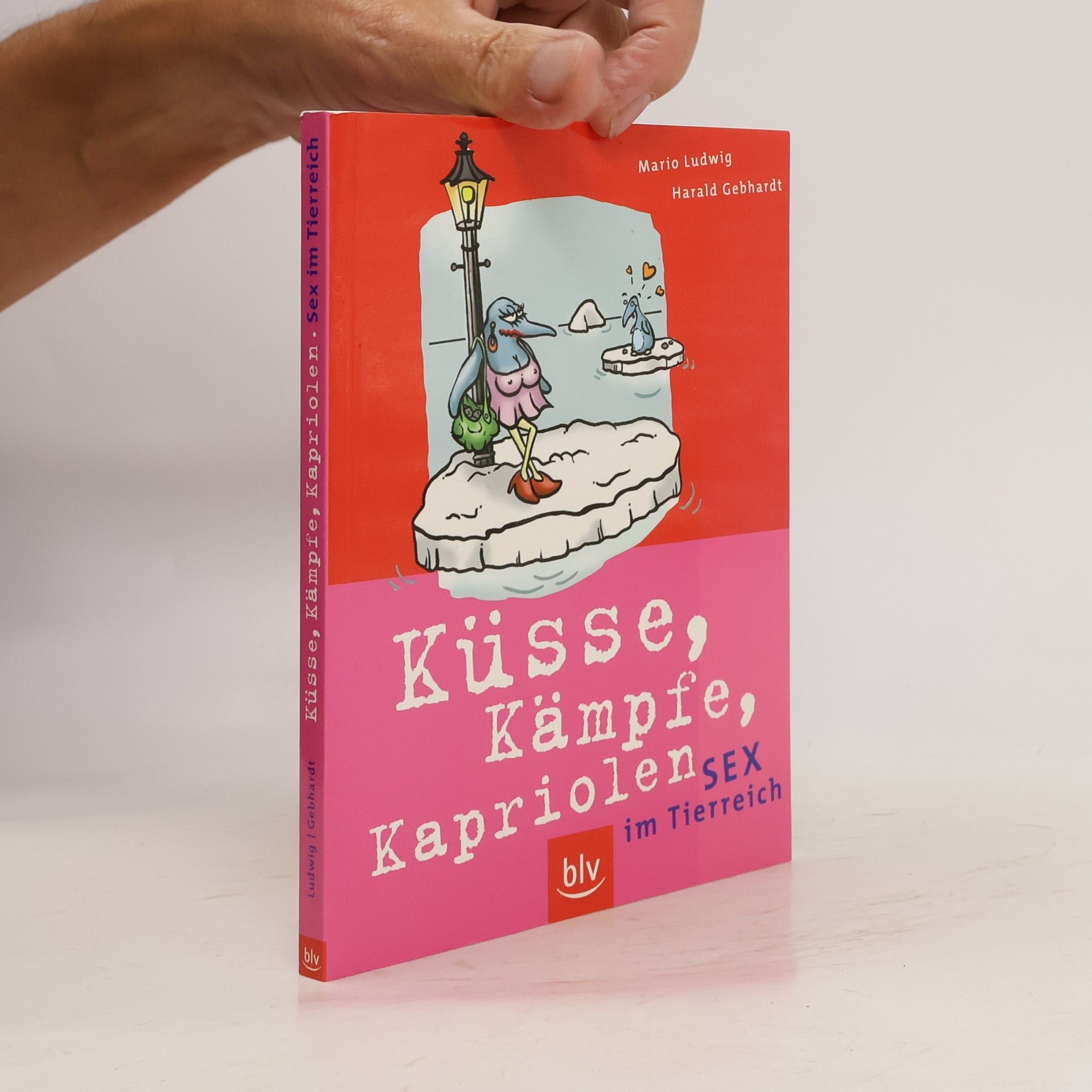 Mario Ludwig Küsse, Kämpfe, Kapriolen