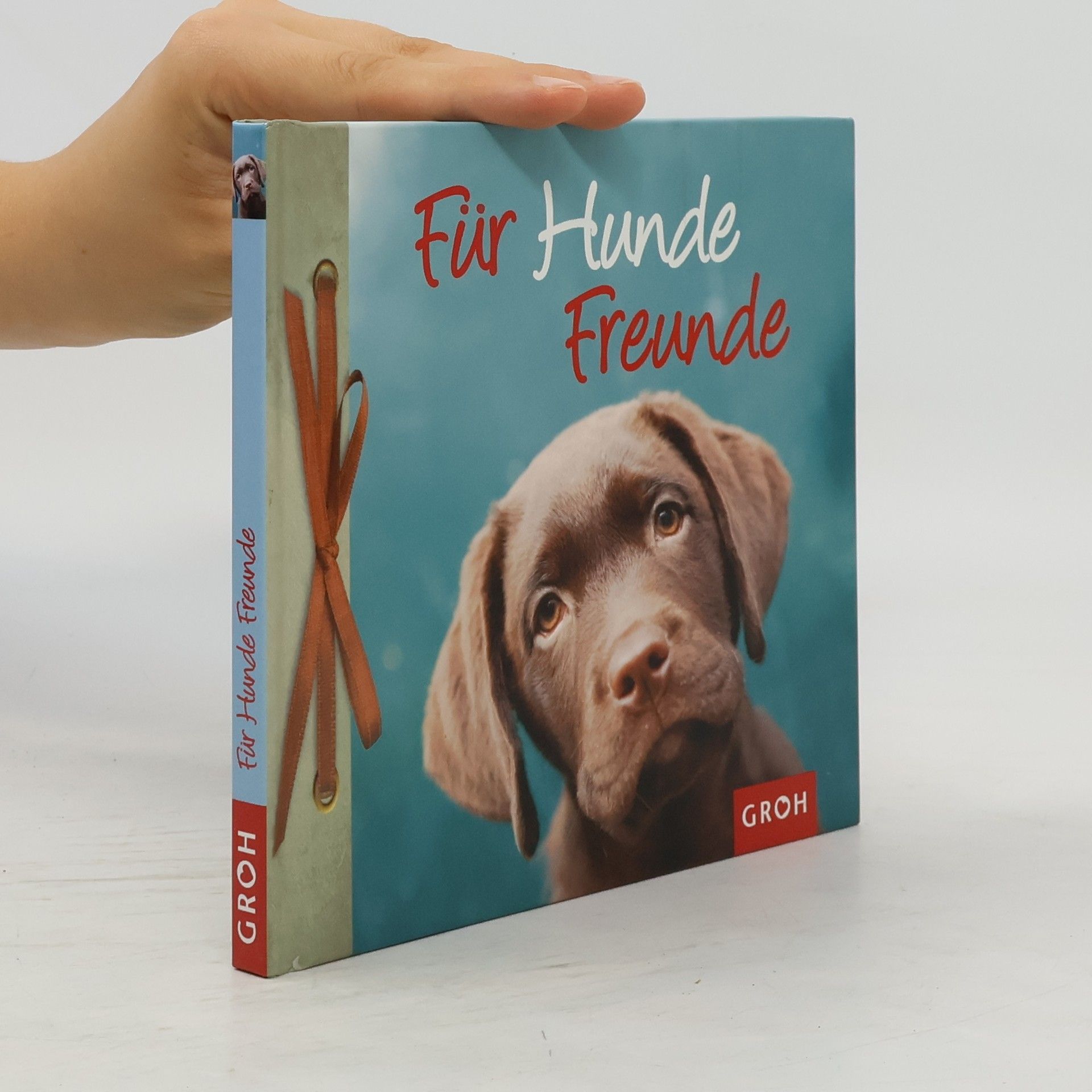 Nina Sandmann Für Hundefreunde