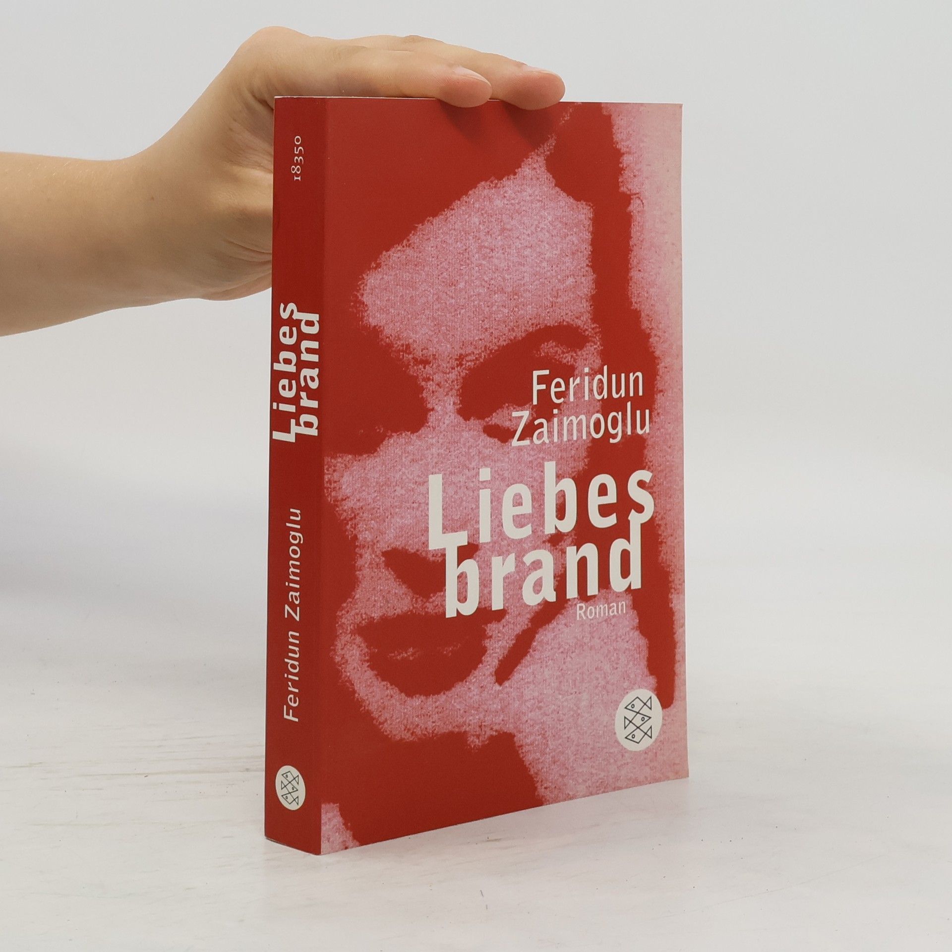 Feridun Zaimoglu Liebesbrand