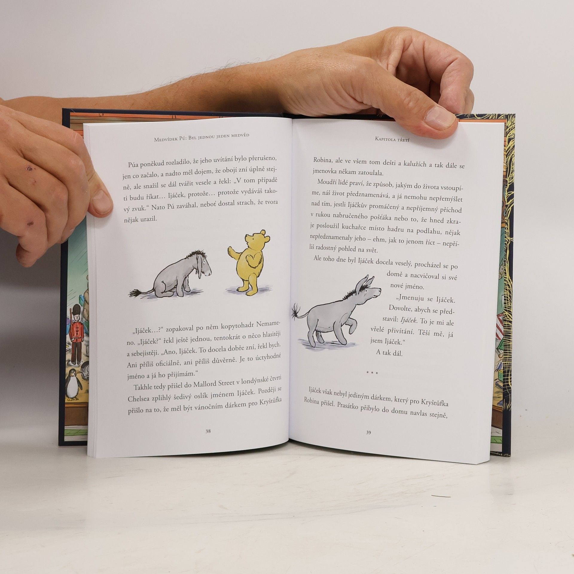 Jane Riordan Medvídek Pú. Byl jednou jeden medvěd