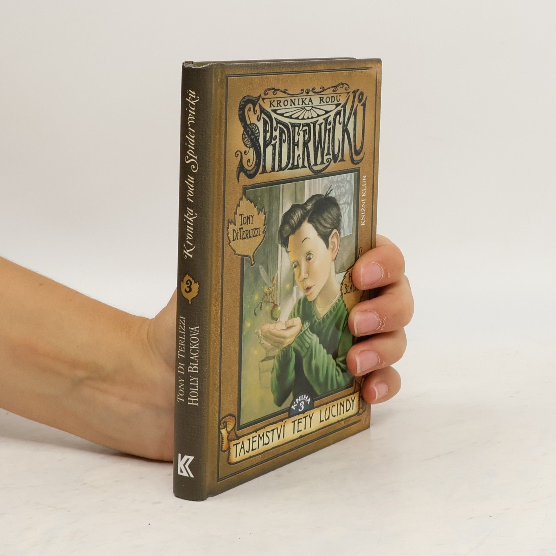 Tony DiTerlizzi Kronika rodu Spiderwicků. Kniha 3, Tajemství tety Lucindy