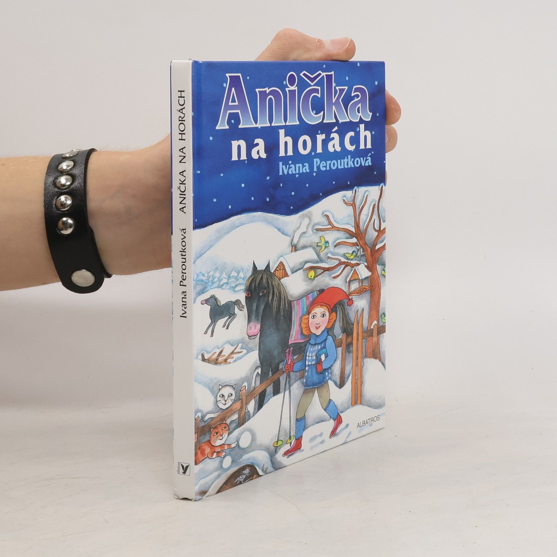 Eva Mastníková Anička na horách