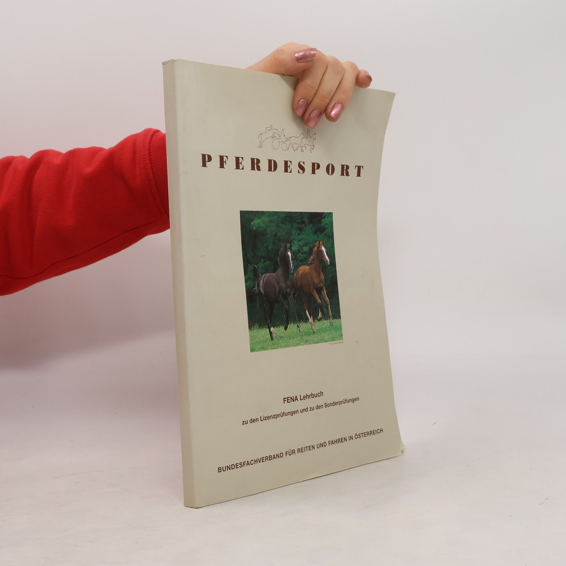 Collectif d'auteurs Pferdesport