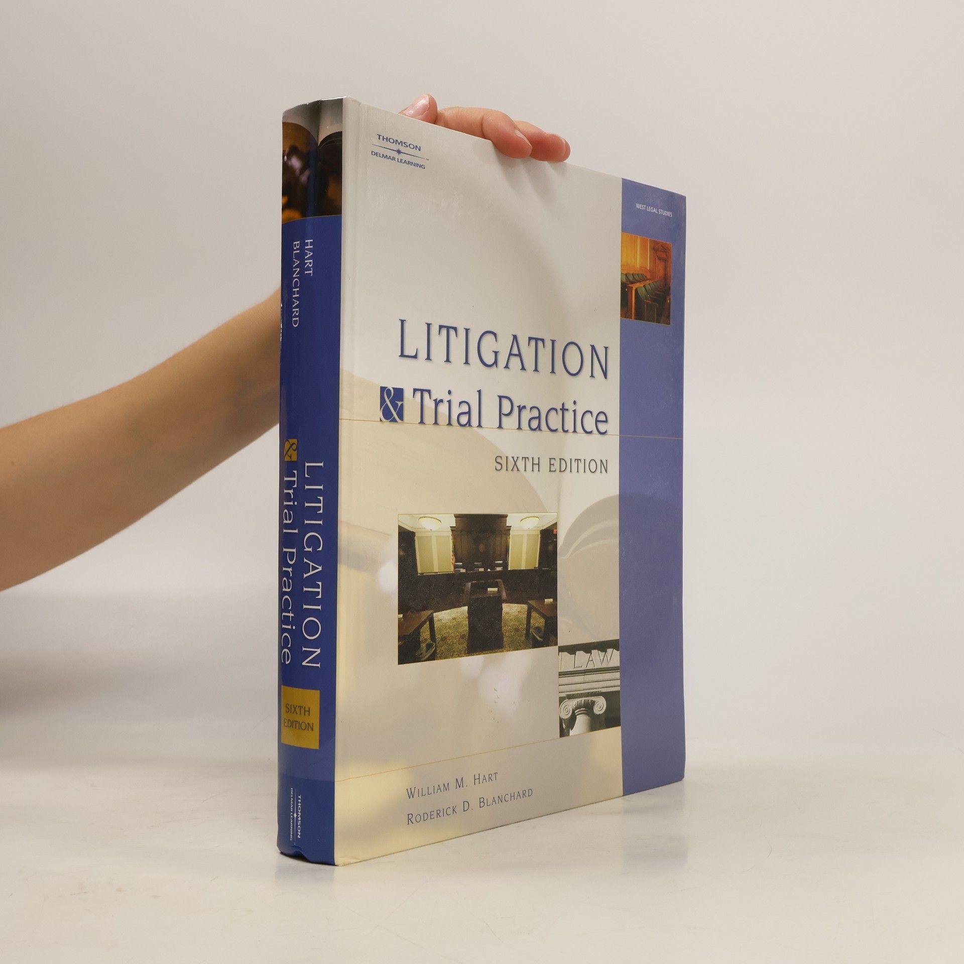 Autorenkollektiv Litigation and trial practice
