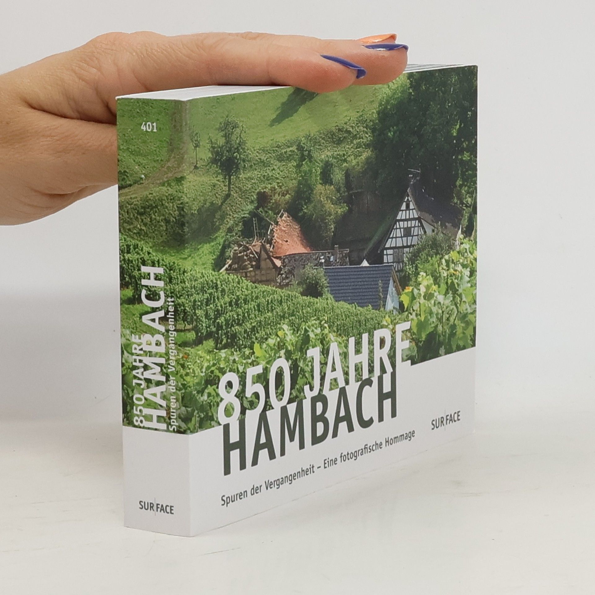 Auteurscollectief 850 Jahre Hambach