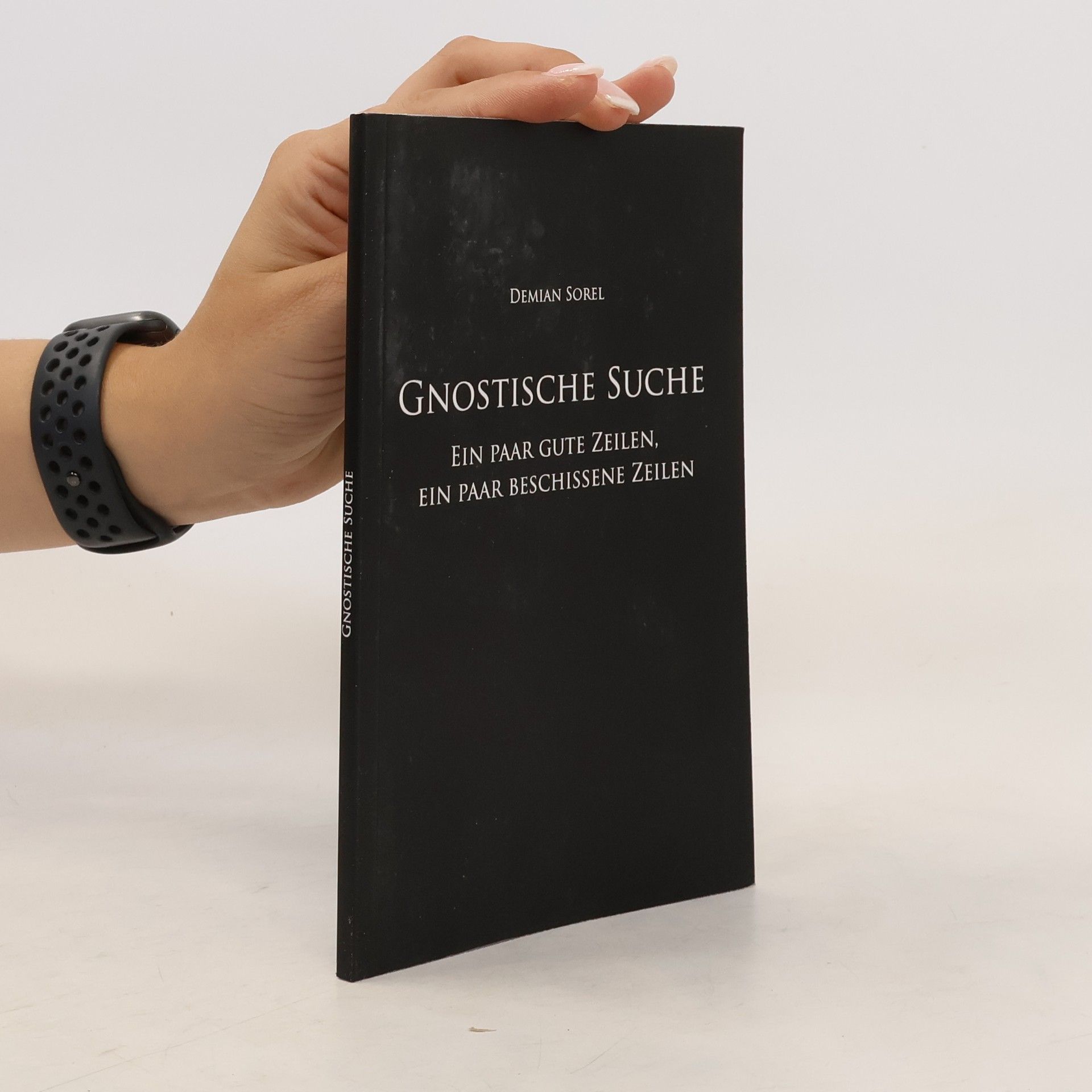 Demian Sorel Gnostische Suche