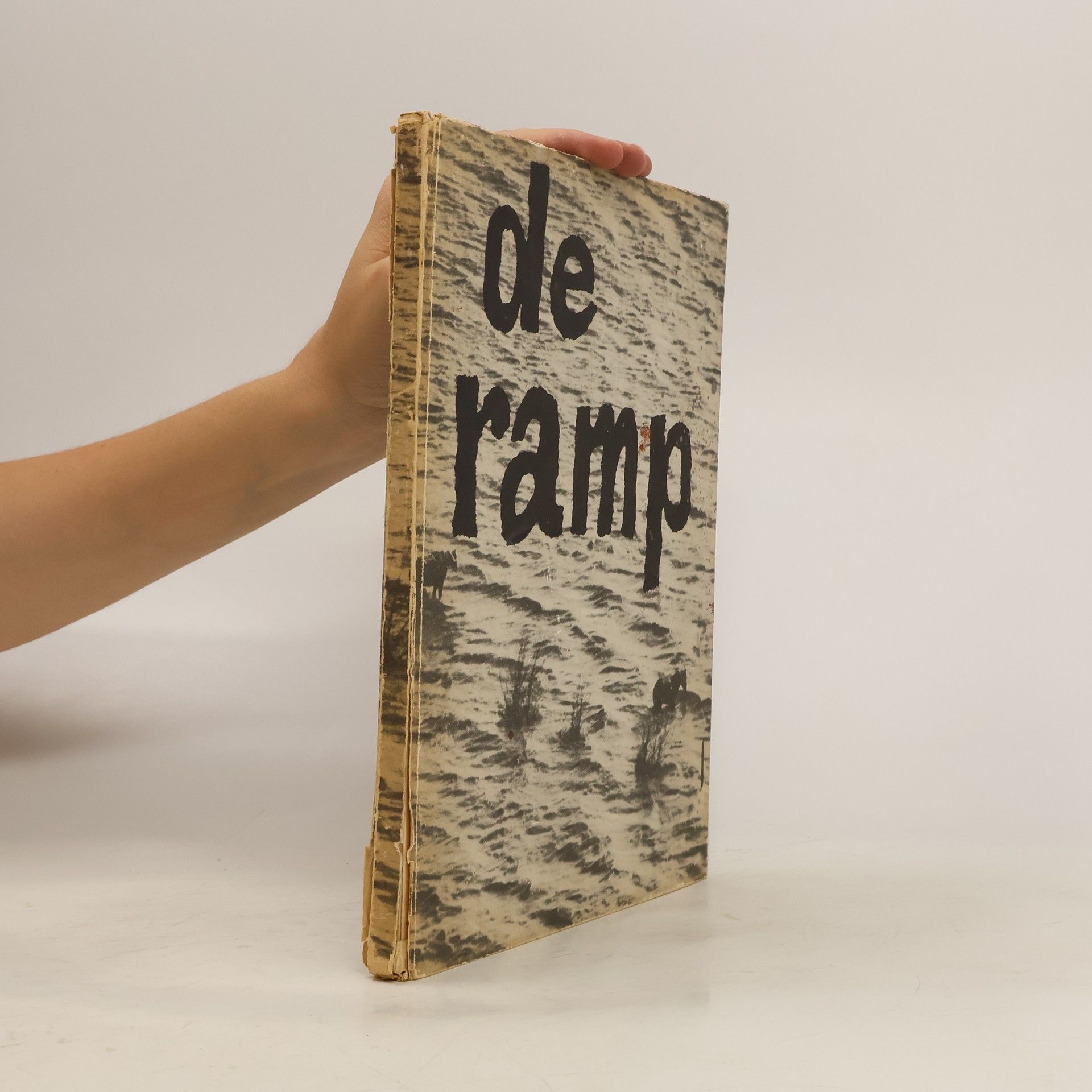 Auteurscollectief De ramp