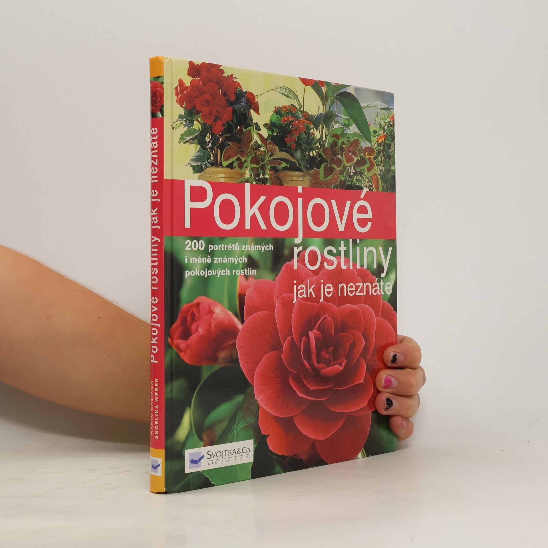 Pokojové rostliny jak je neznáte