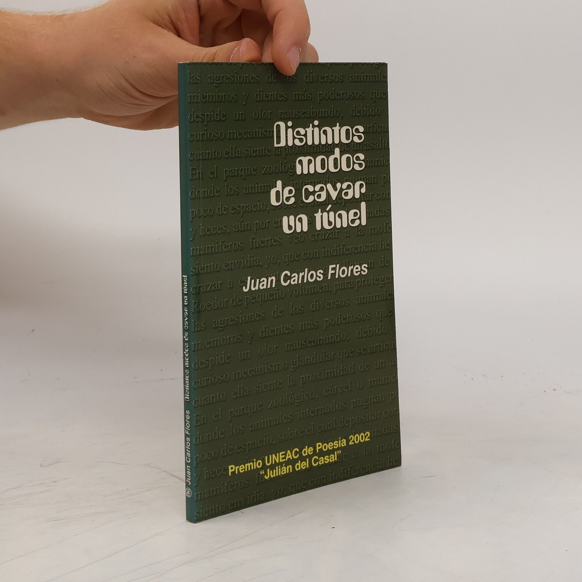 Juan Carlos Flores Distintos modos de cavar un túnel