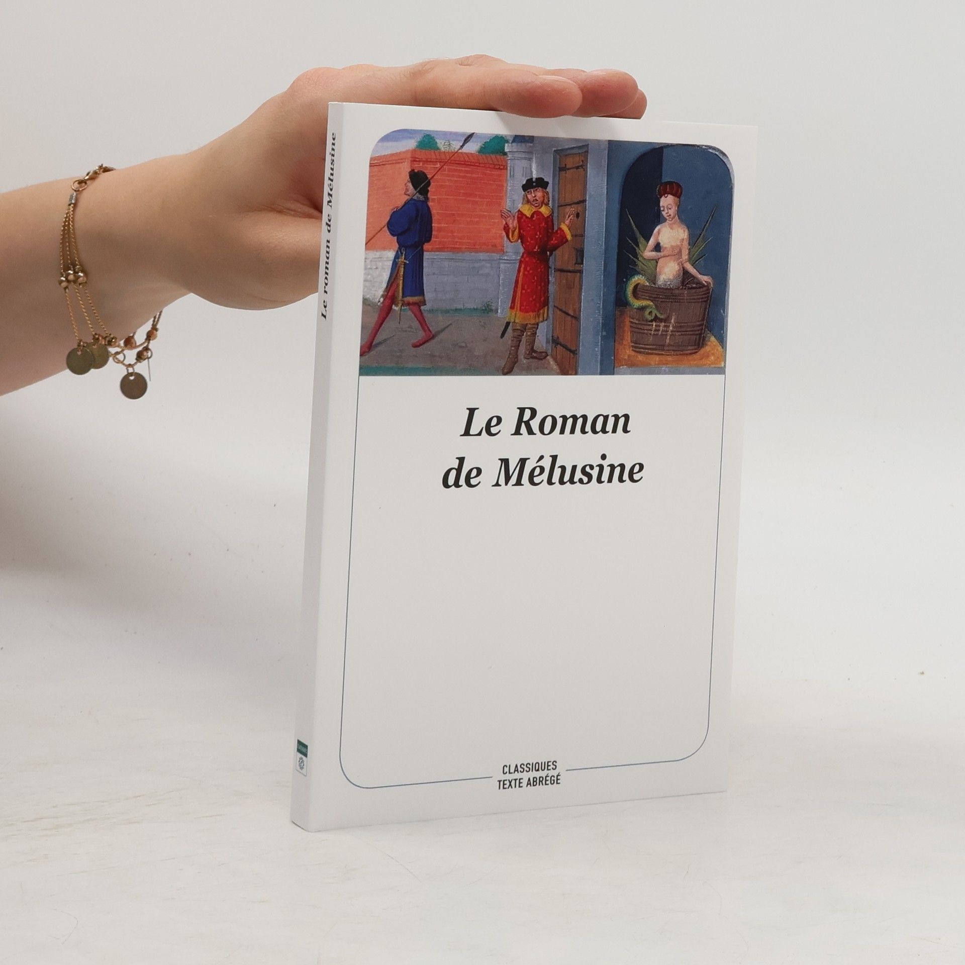 Collectif d'auteurs Le Roman de Mélusine