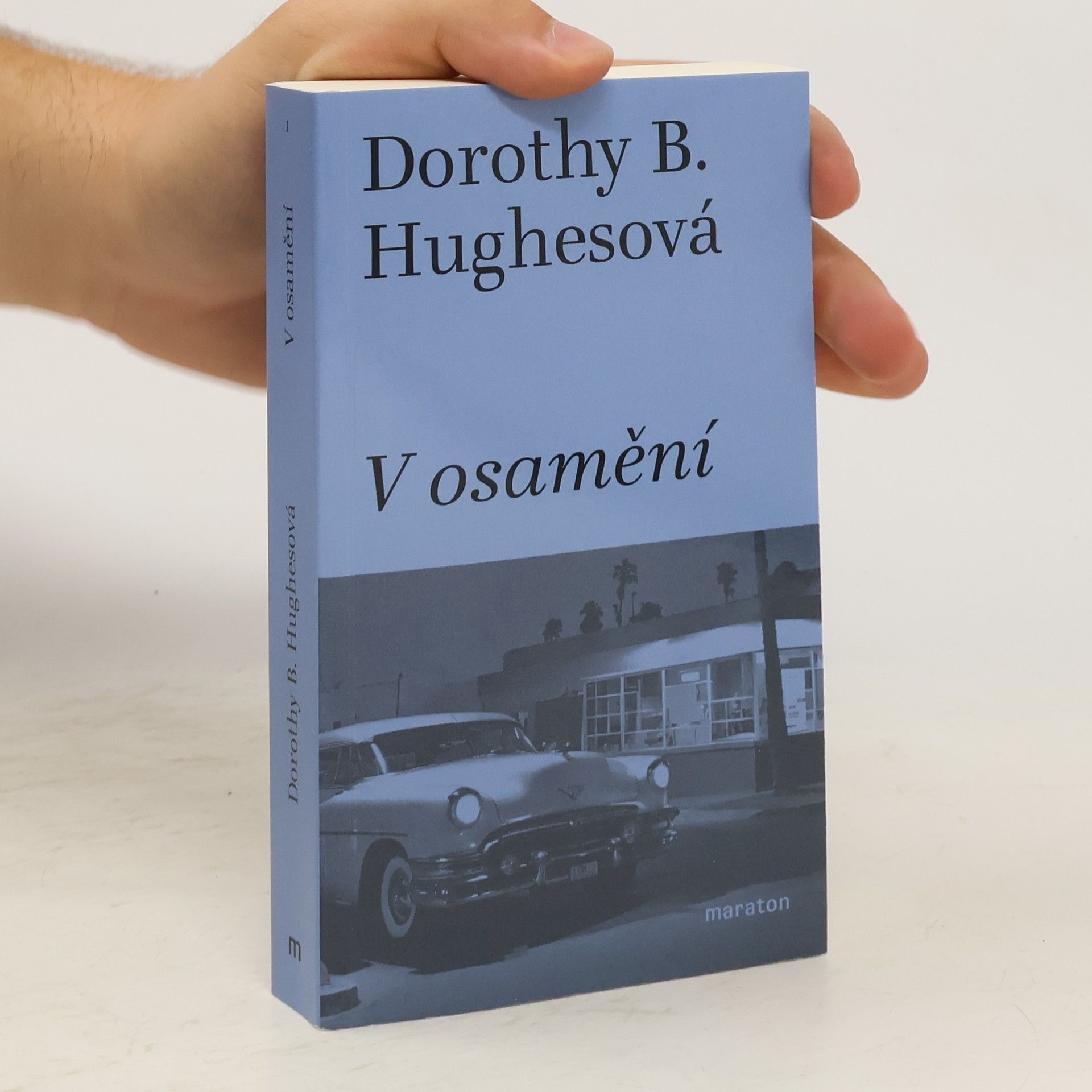 Martin Pokorný V osamění