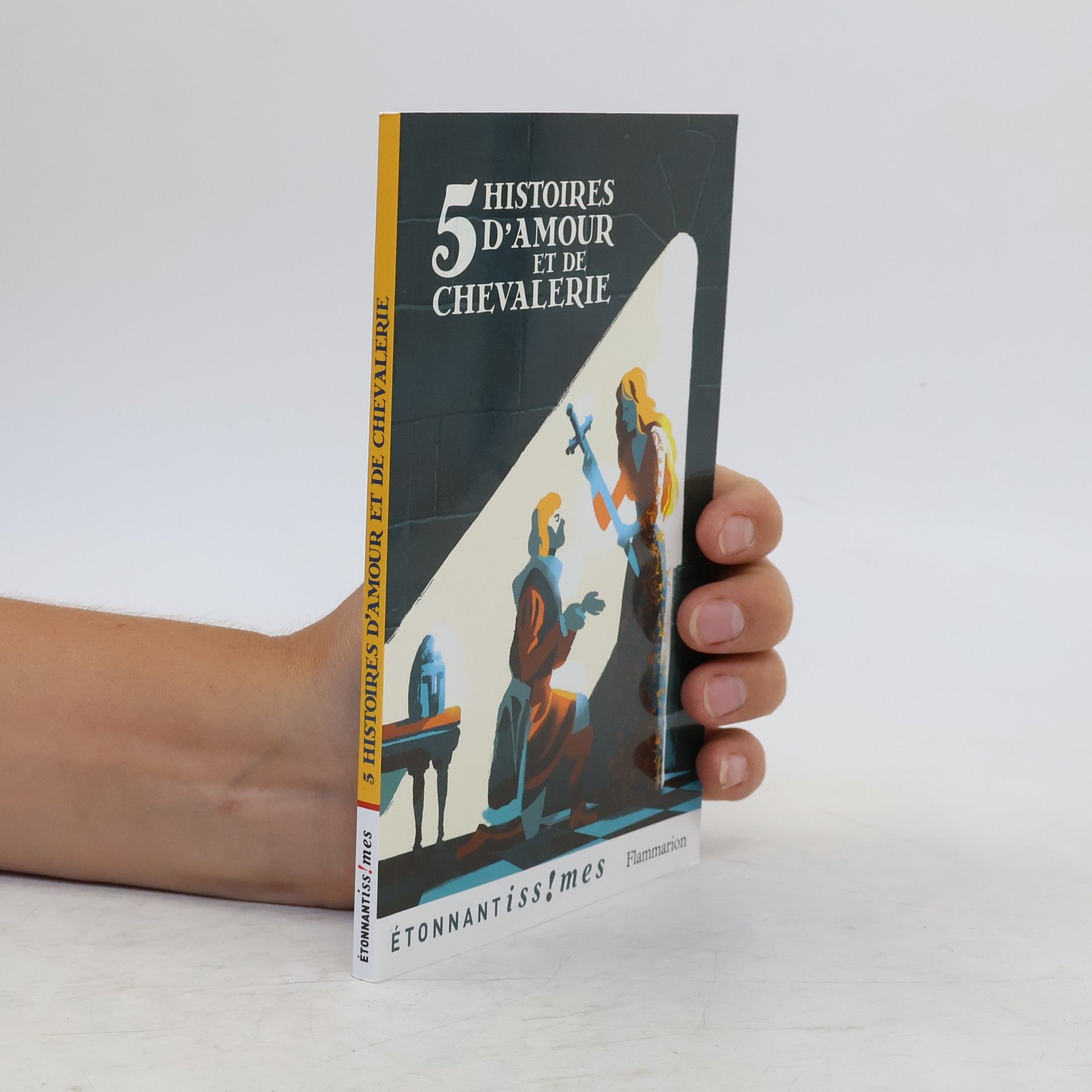 Autorenkollektiv Cinq histoires d'amour et de chevalerie