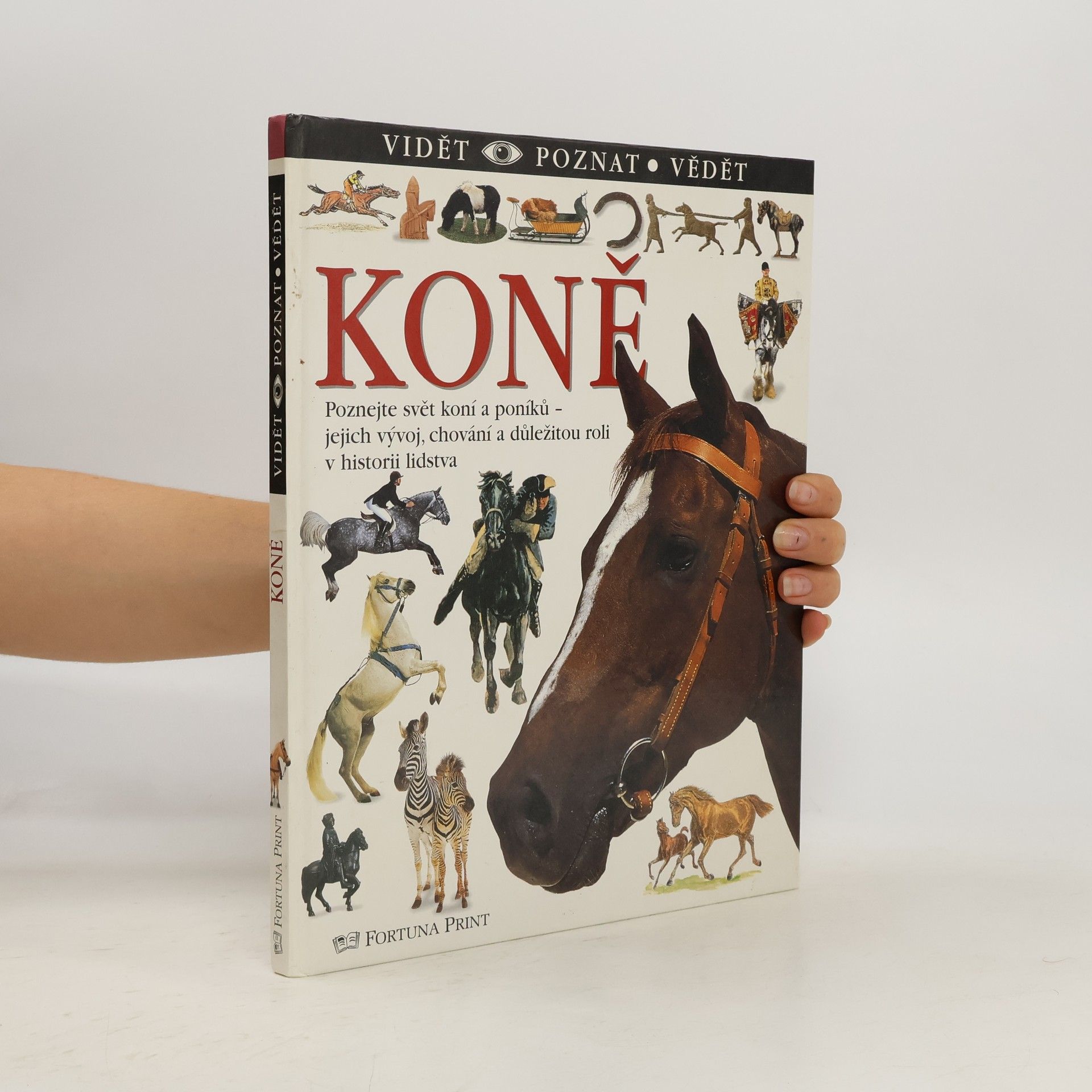 Juliet Clutton-Brock Koně