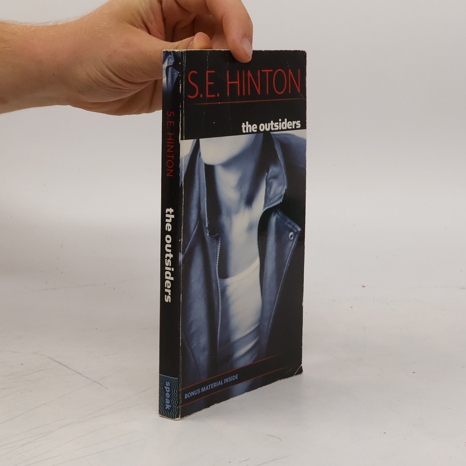 S. E. Hinton The Outsiders