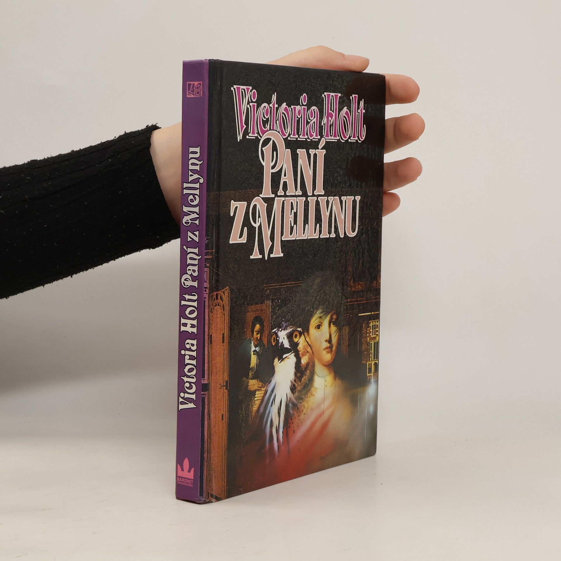 Václav Rytina Paní z Mellynu