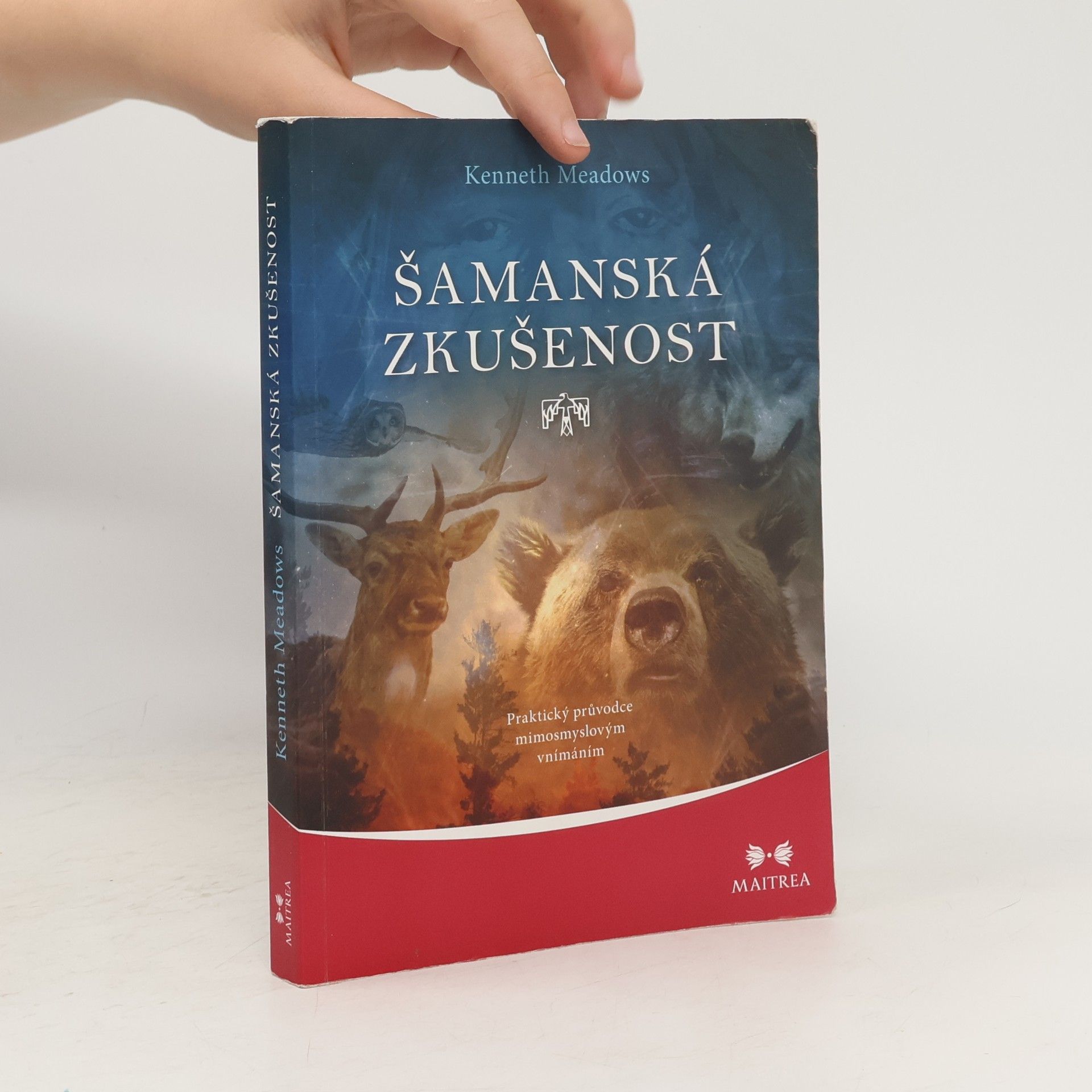 Kenneth Meadows Šamanská zkušenost - Praktický průvodce mimosmyslovým vnímáním