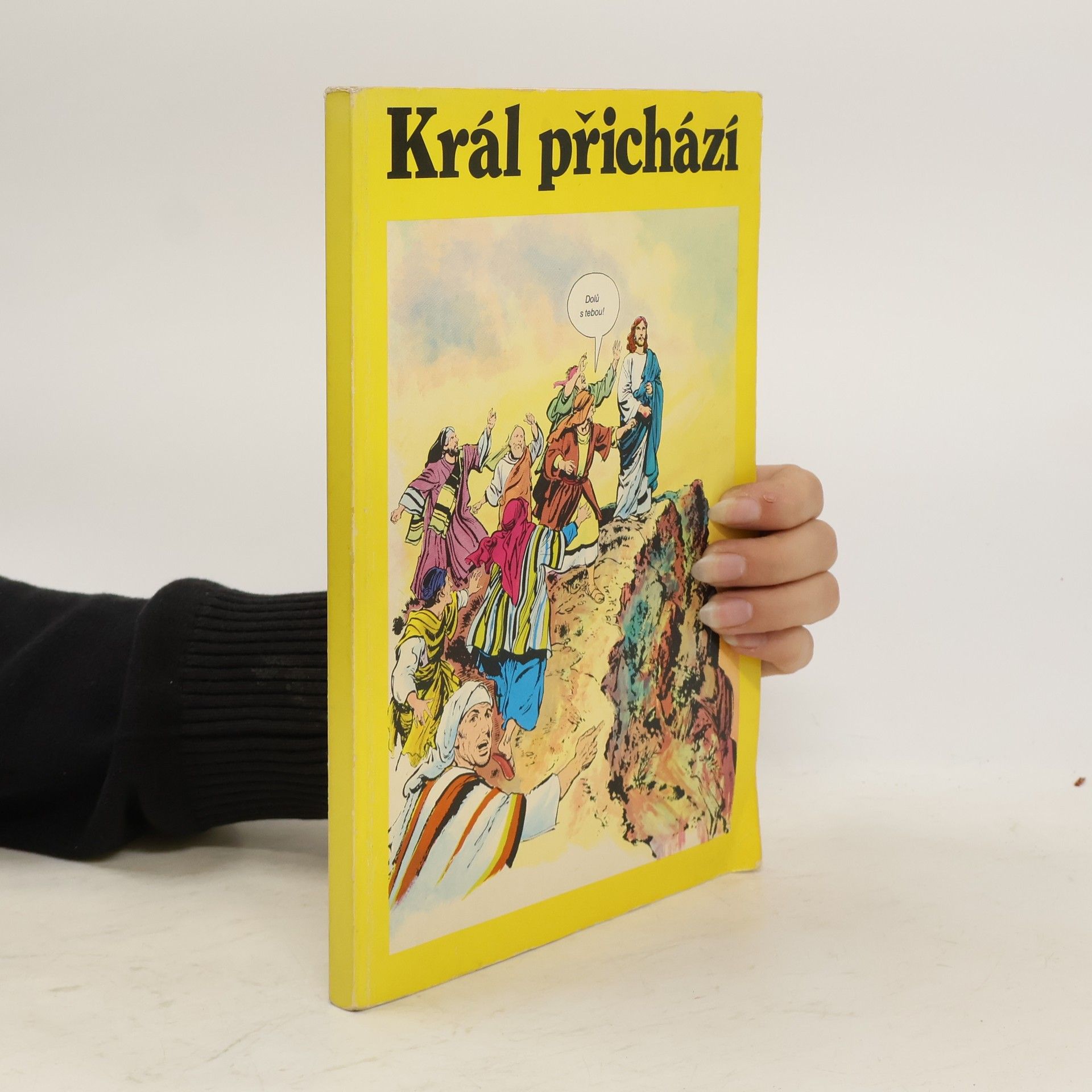 Kolektiv autorů Král přichází