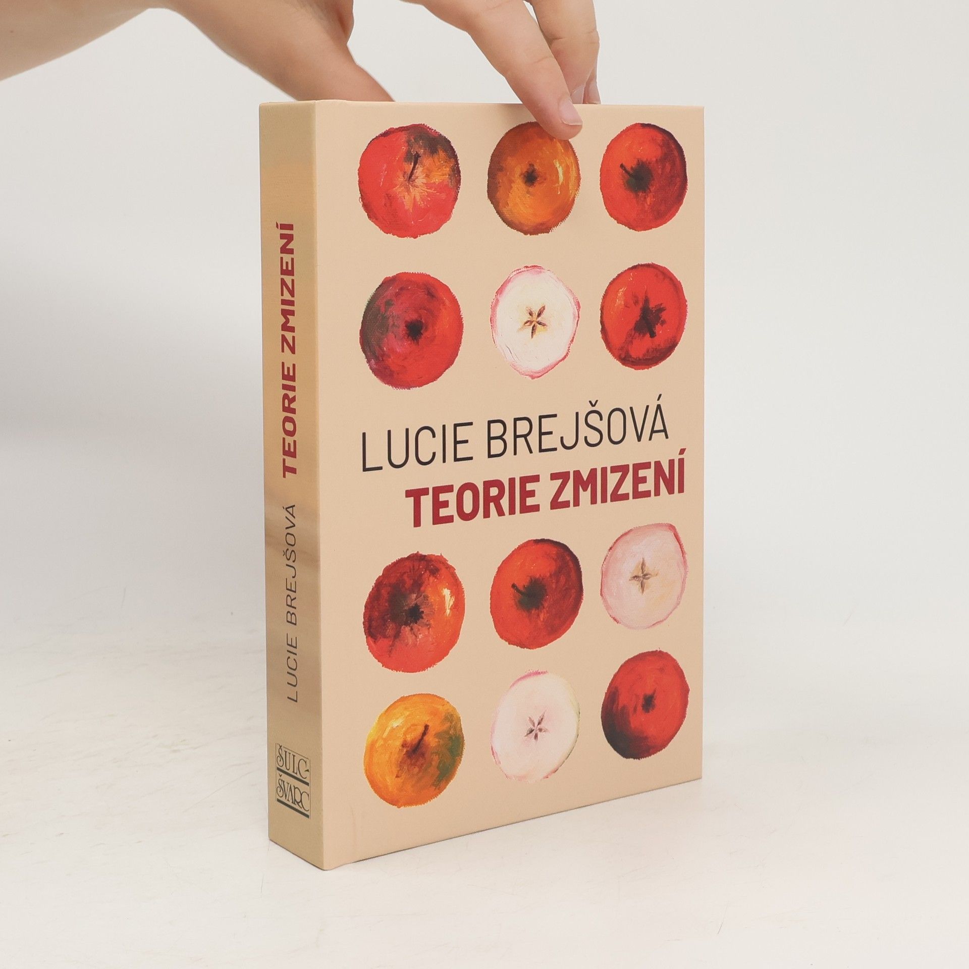 Lucie Brejšová Teorie zmizení