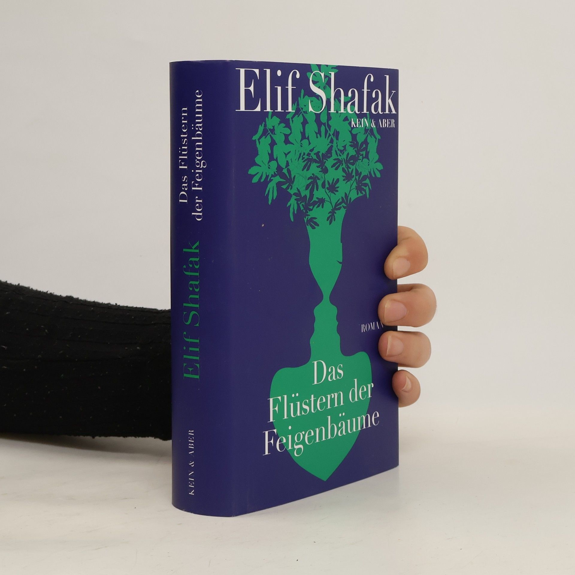 Elif Şafak Das Flüstern der Feigenbäume