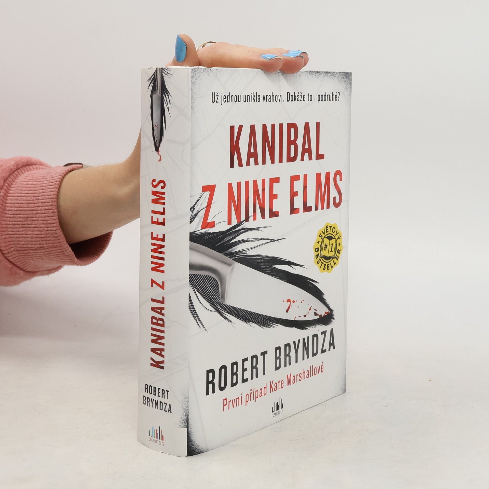 Robert Bryndza Kanibal z Nine Elms