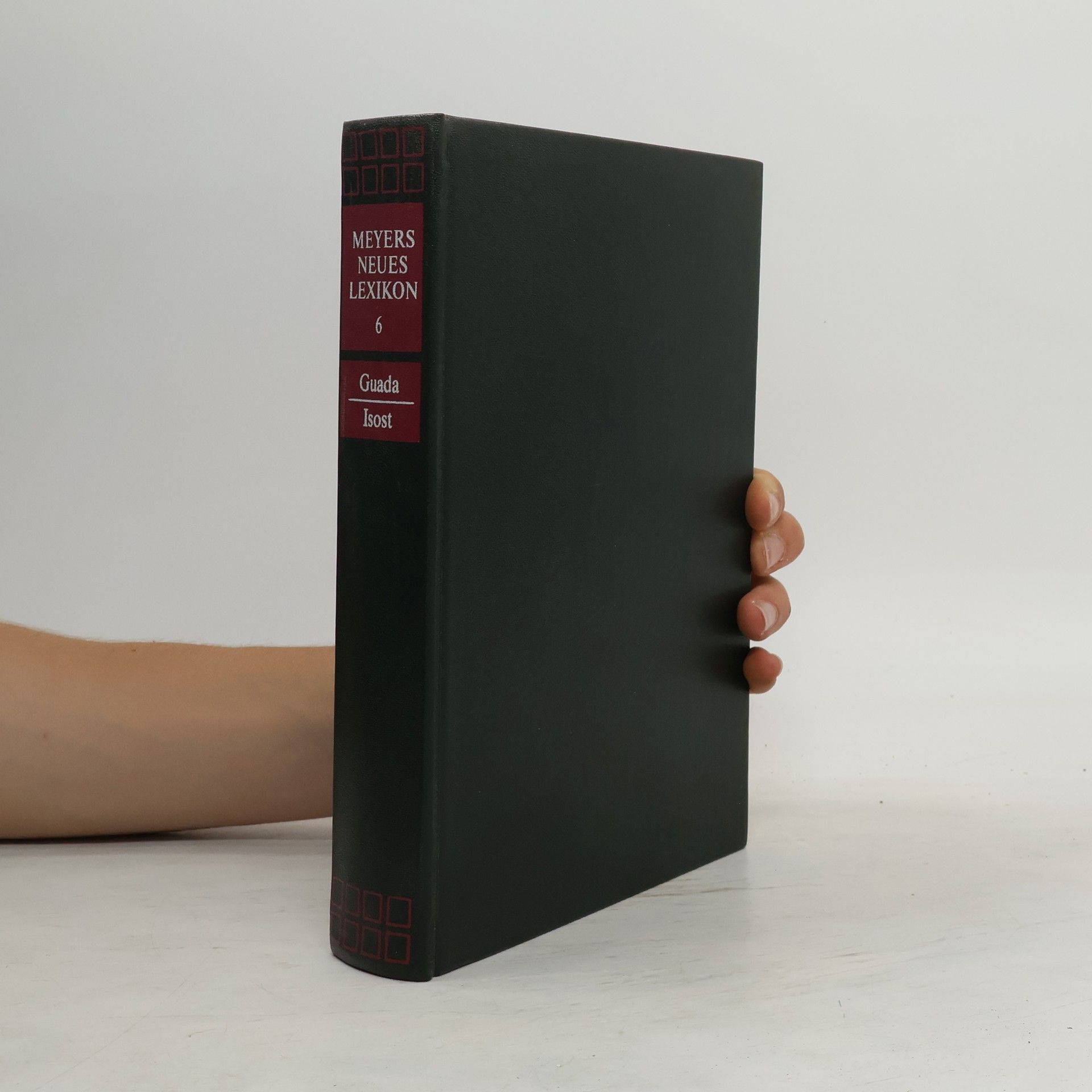 AA.VV. Meyers neues Lexikon 6