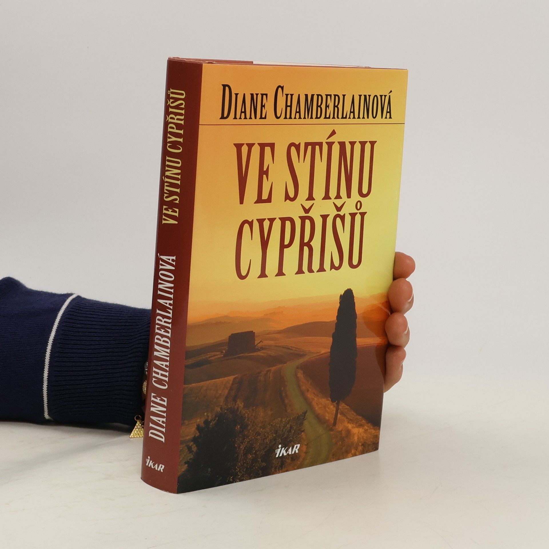 Diane Chamberlain Ve stínu cypřišů