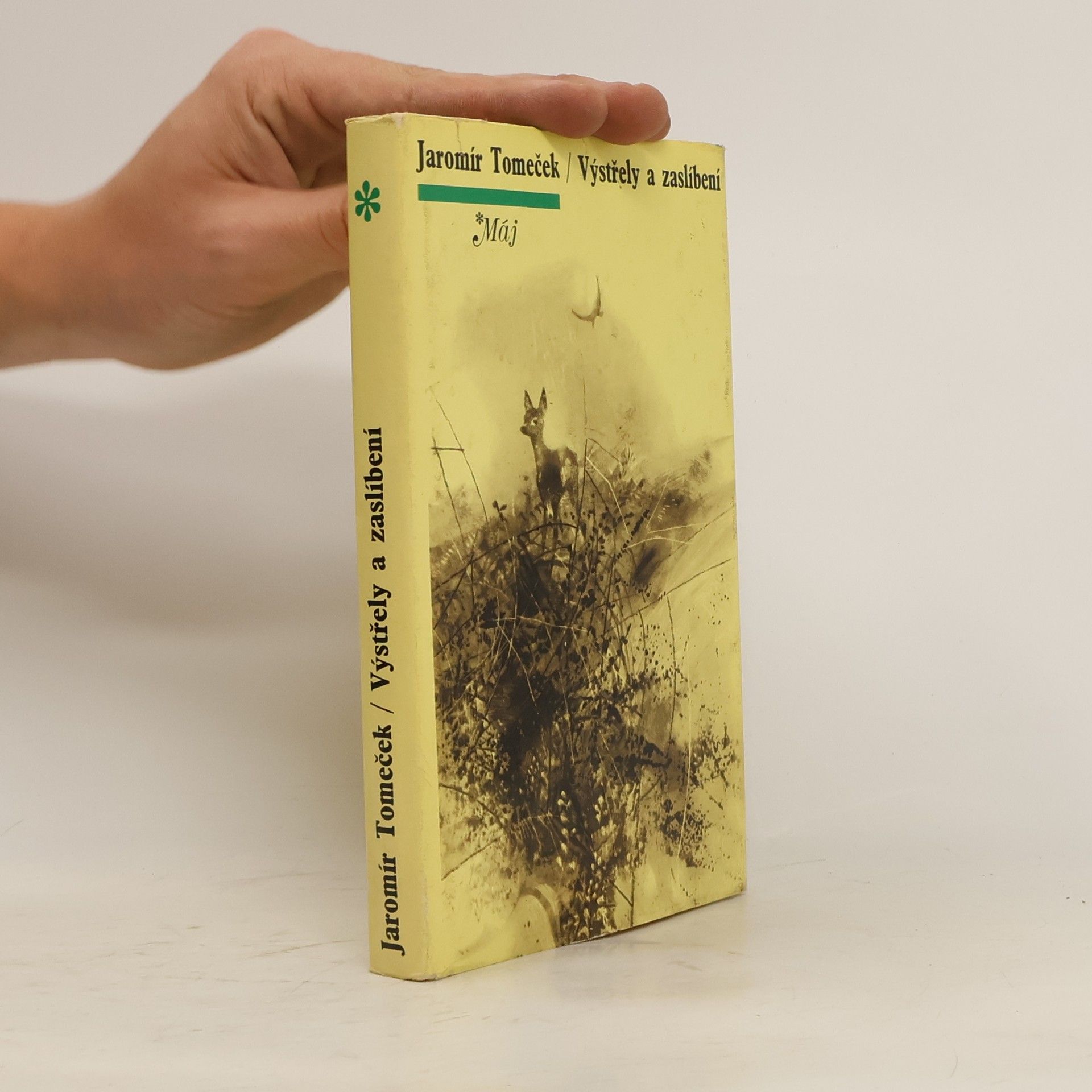 Výstřely a zaslíbení