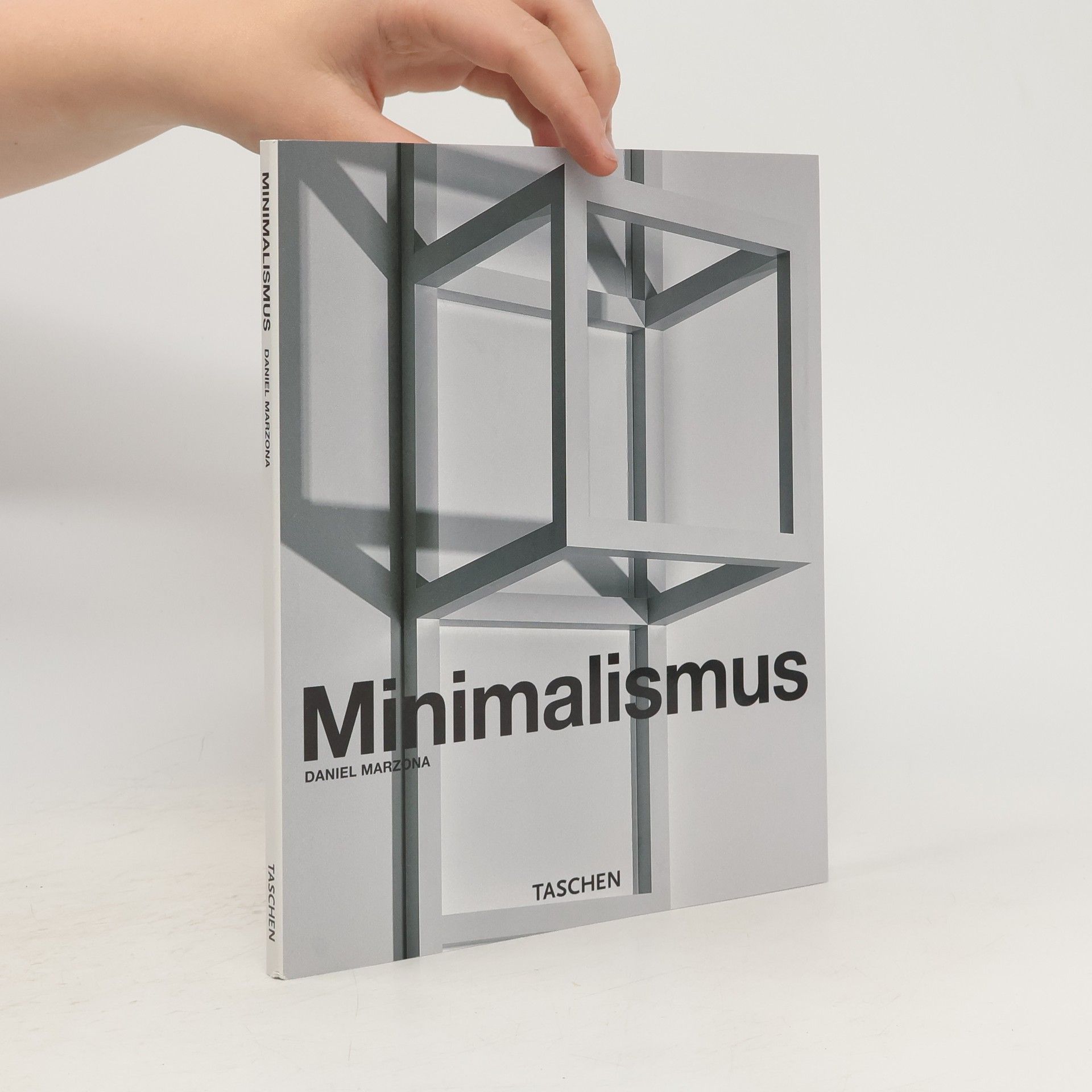 Daniel Marzona Minimalismus