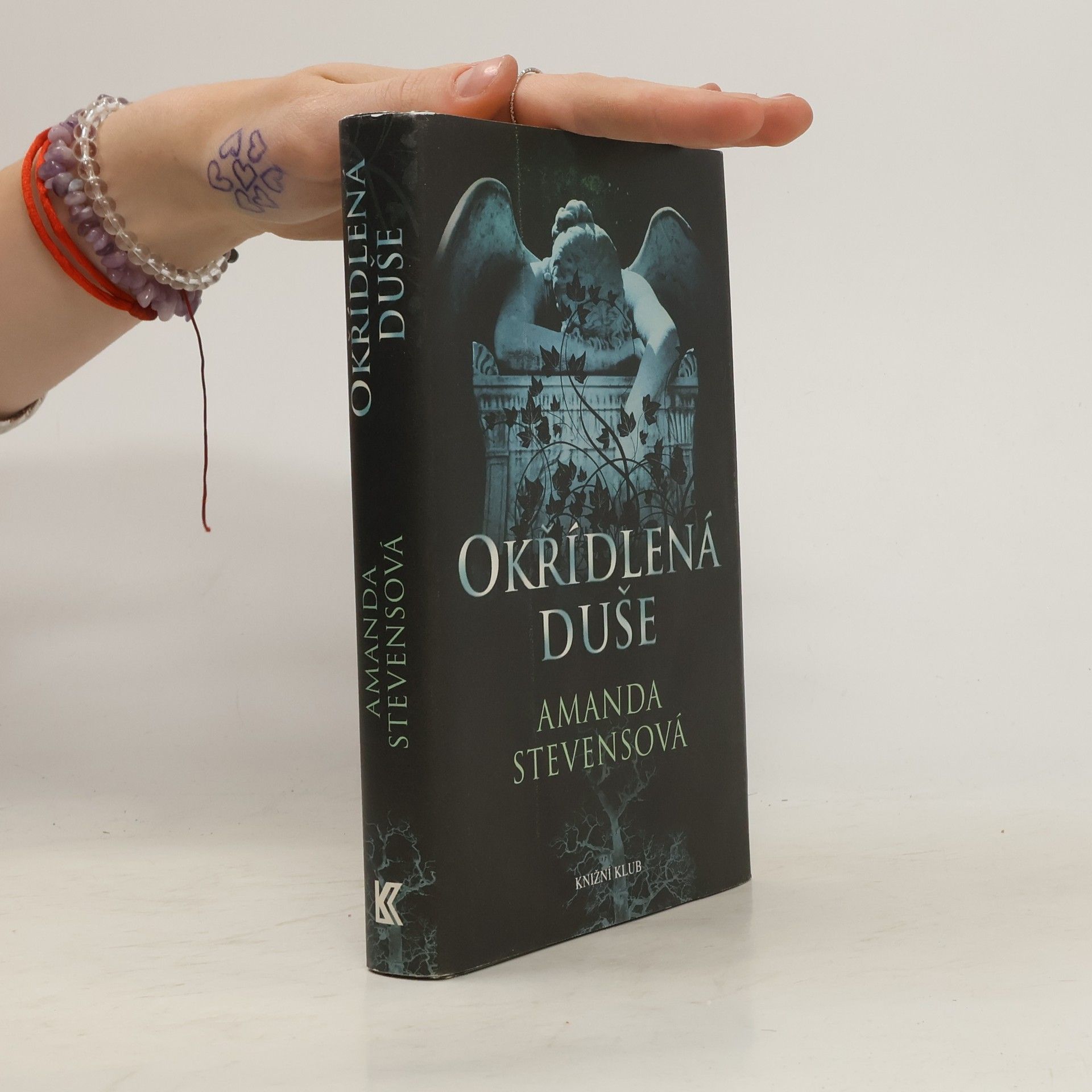 Amanda Stevens Okřídlená duše