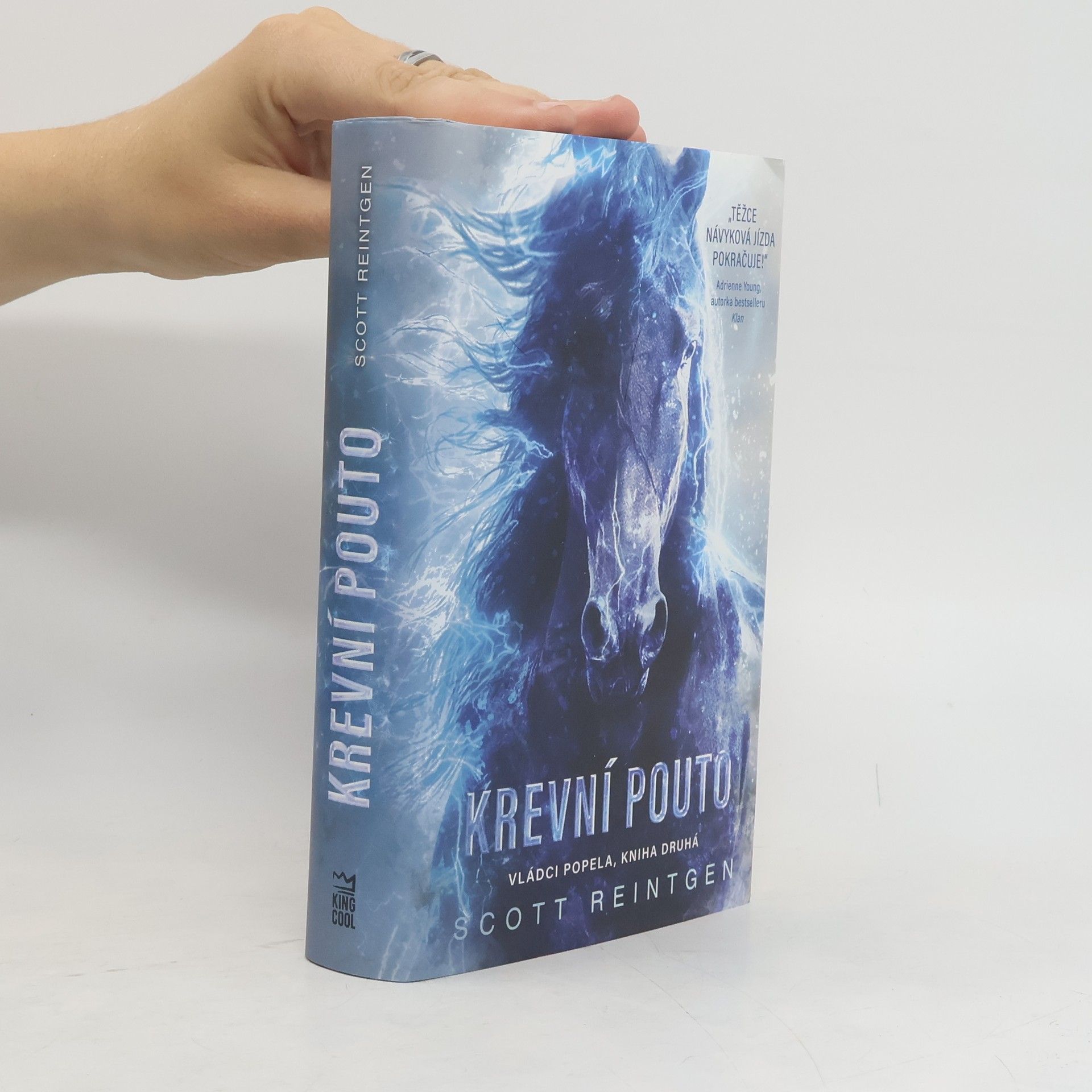 Vládci popela. Kniha druhá, Krevní pouto