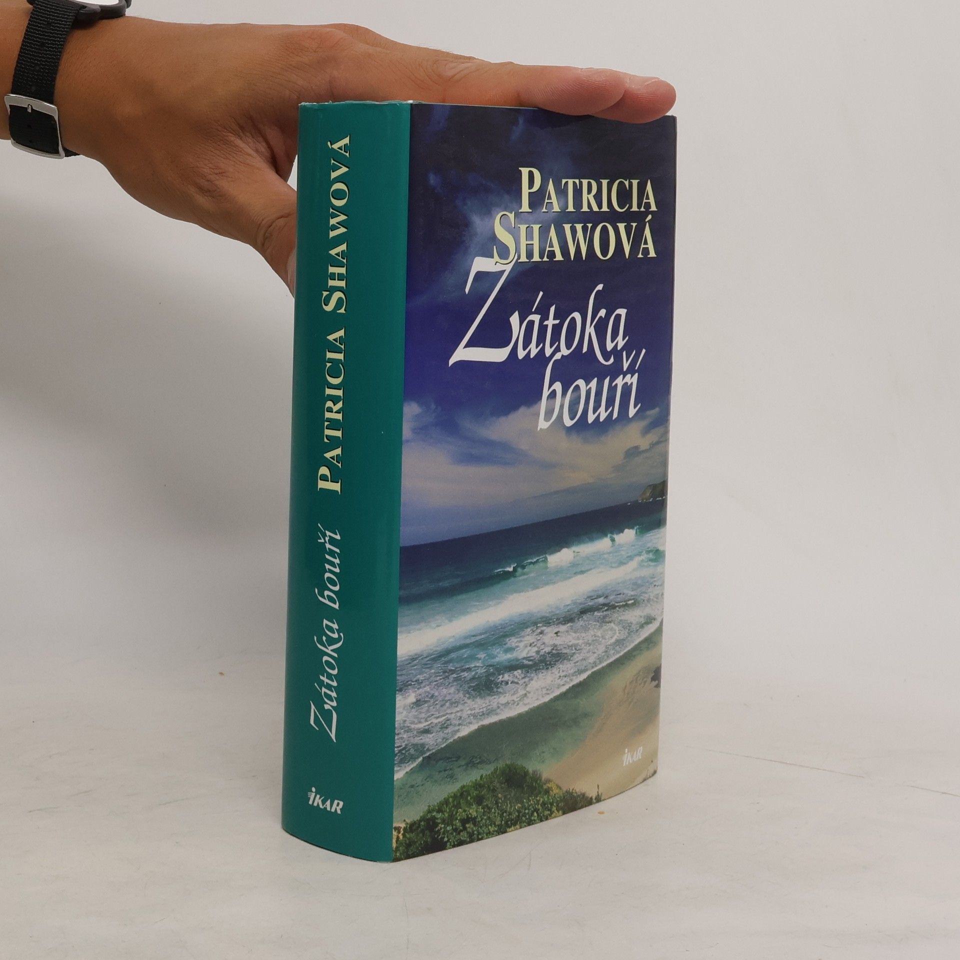 Patricia Shaw Zátoka bouří